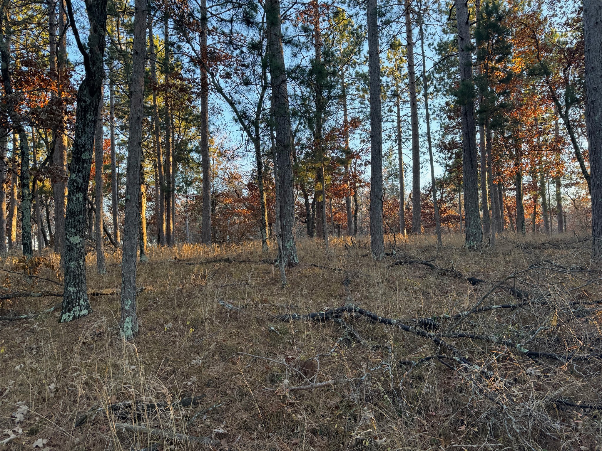 Lot 4 Big Sand Road Property Photo 25