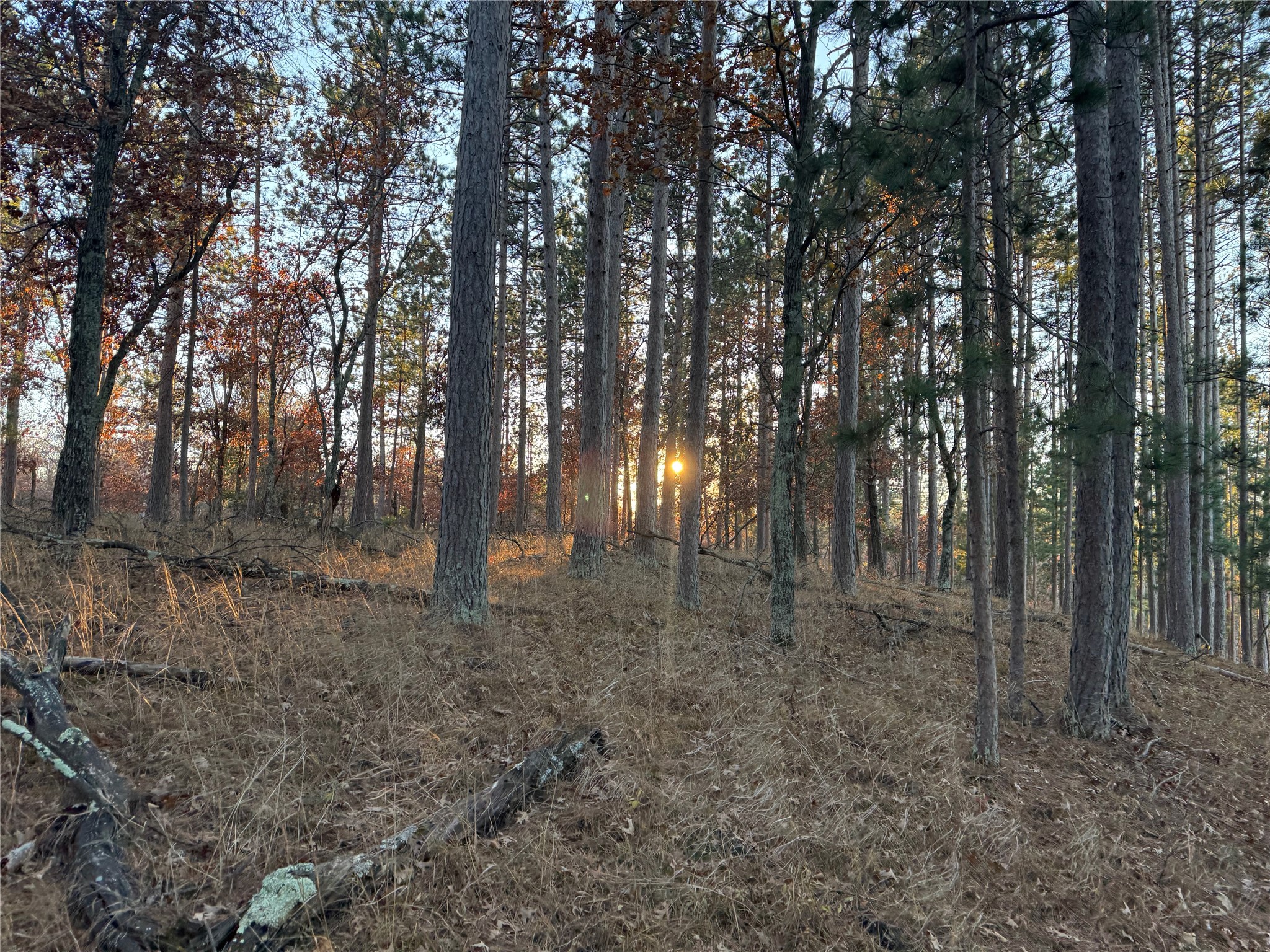 Lot 4 Big Sand Road Property Photo 26