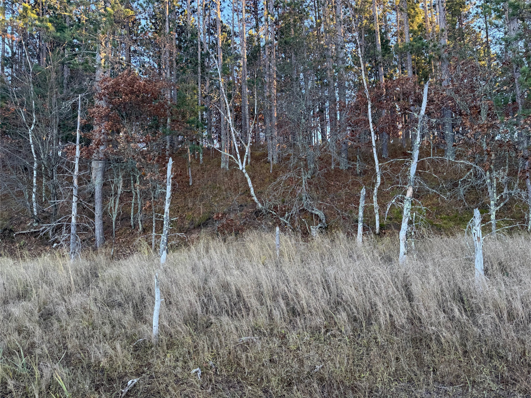 Lot 4 Big Sand Road Property Photo 27