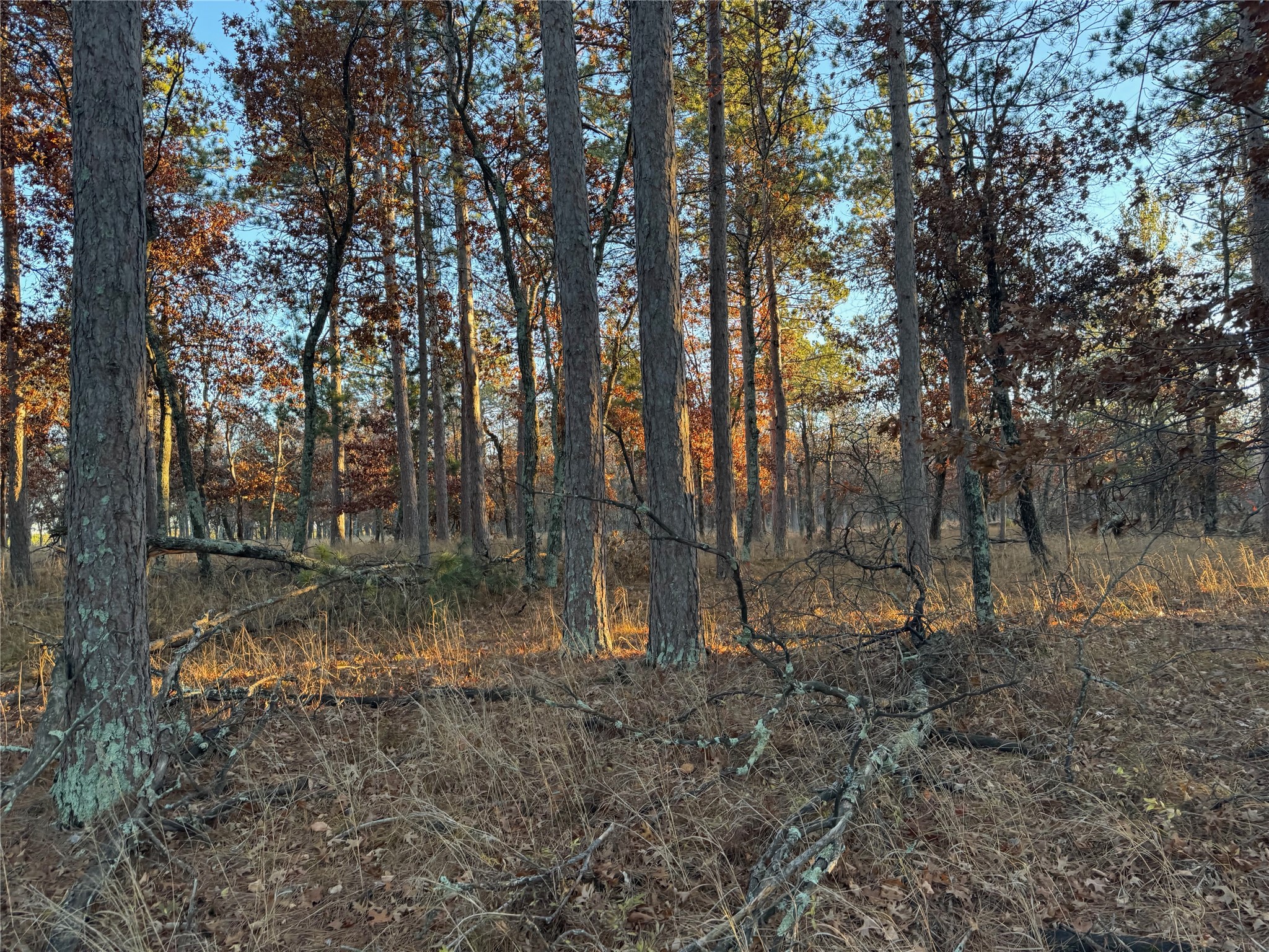 Lot 4 Big Sand Road Property Photo 28