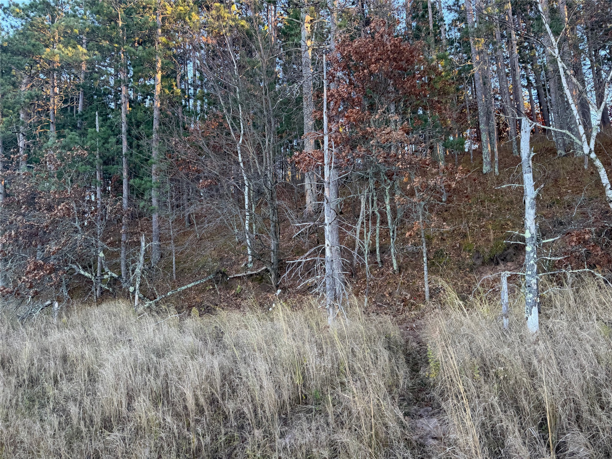 Lot 4 Big Sand Road Property Photo 29