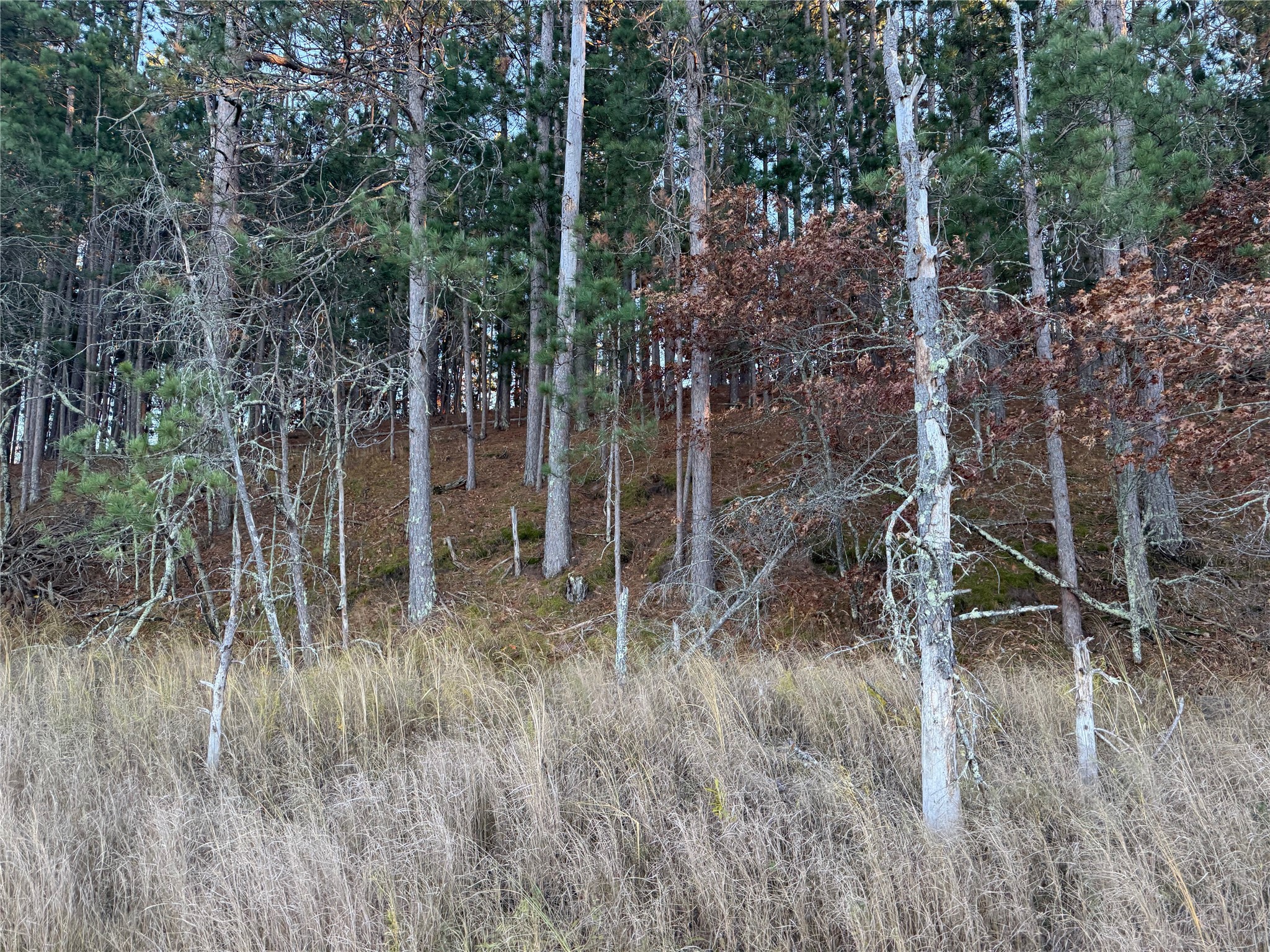 Lot 4 Big Sand Road Property Photo 31