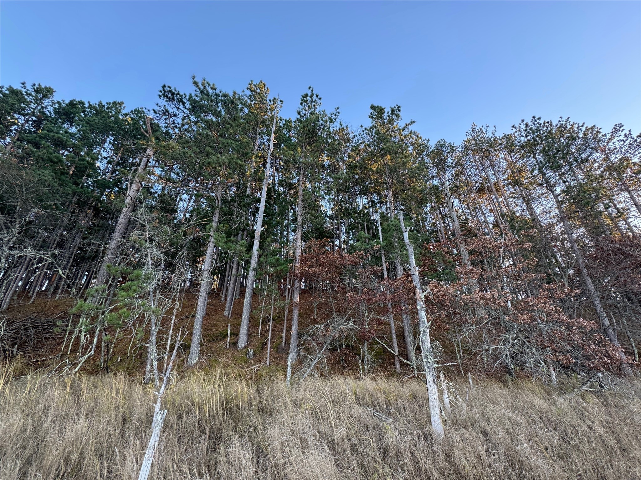 Lot 4 Big Sand Road Property Photo 32