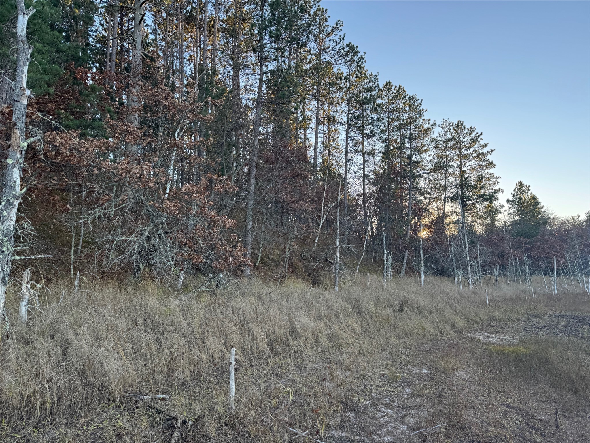 Lot 4 Big Sand Road Property Photo 33
