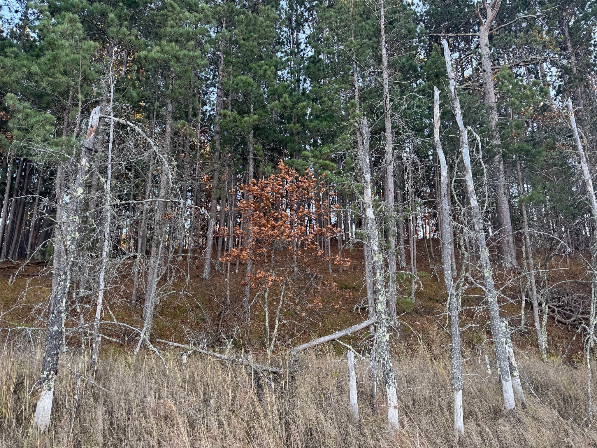 Lot 4 Big Sand Road Property Photo 34