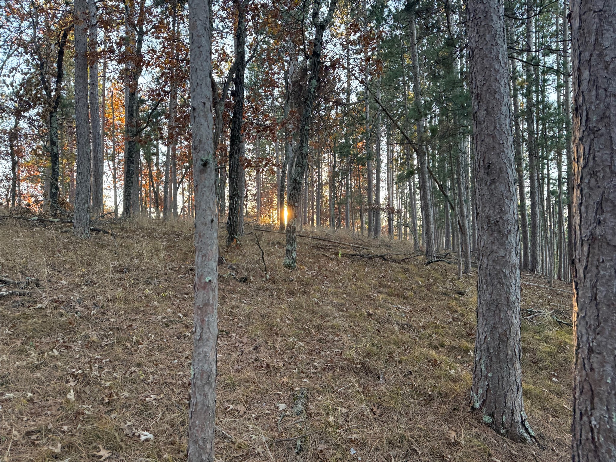 Lot 4 Big Sand Road Property Photo 35