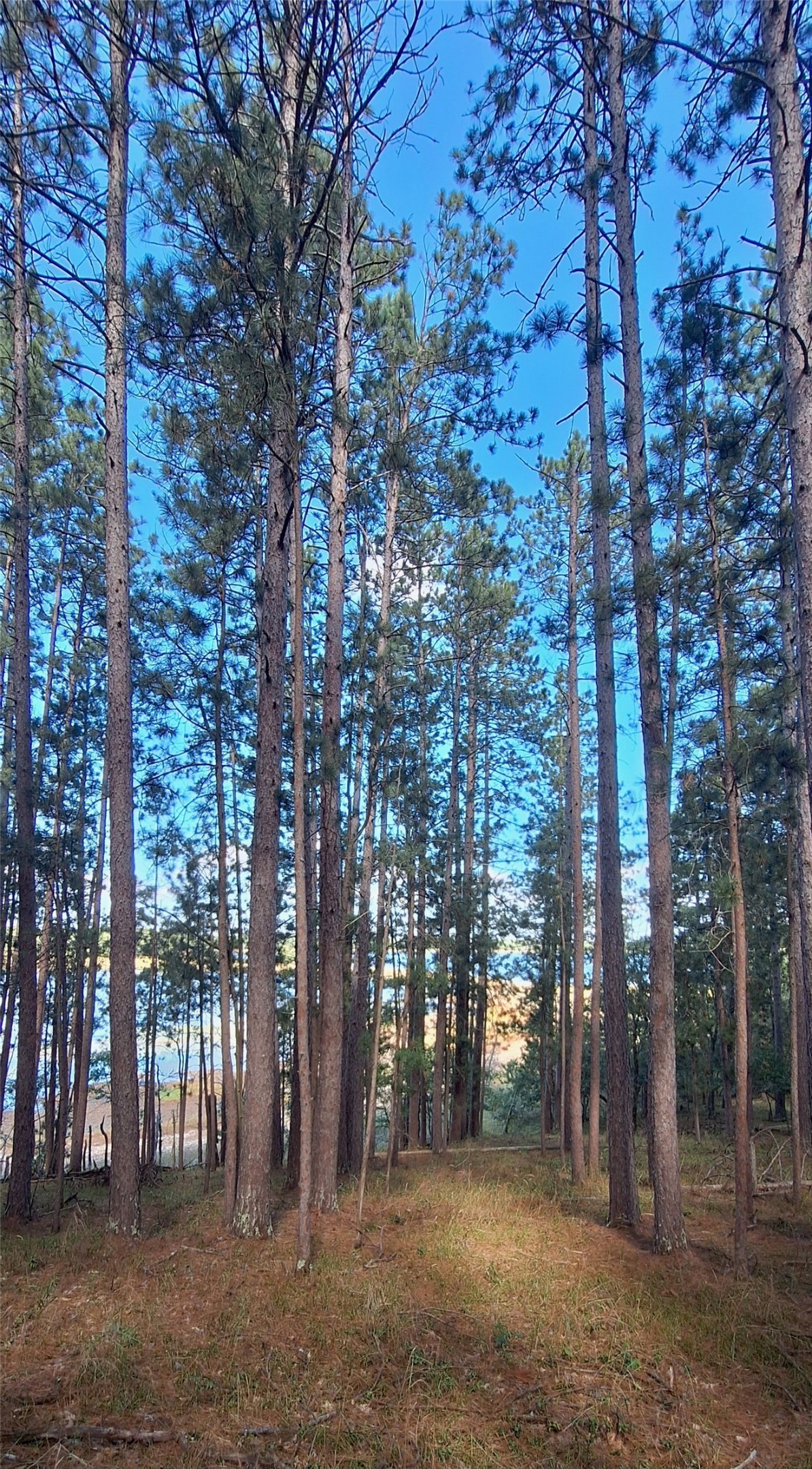 Lot 5 Big Sand Road Property Photo 4