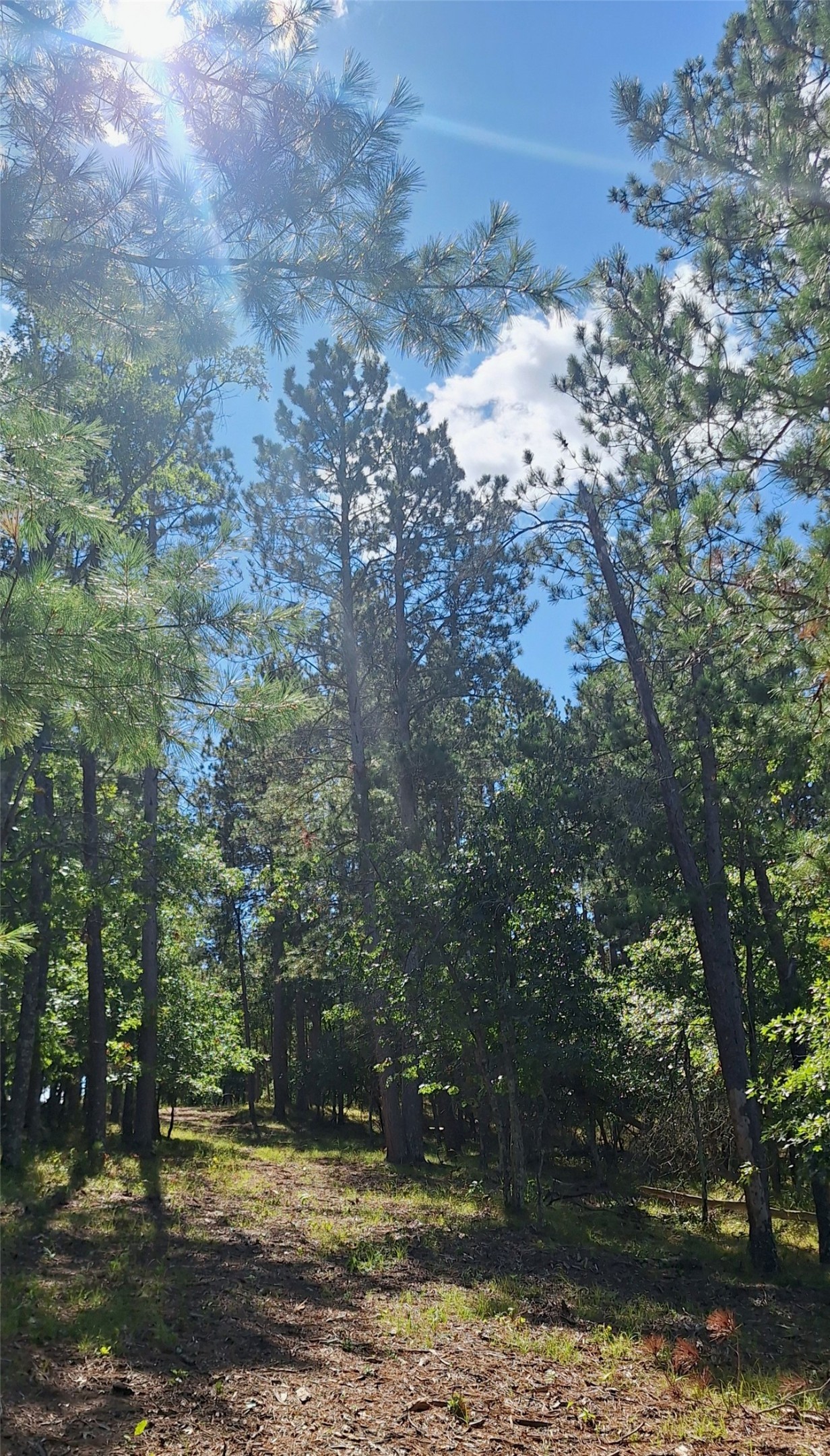 Lot 5 Big Sand Road Property Photo 7