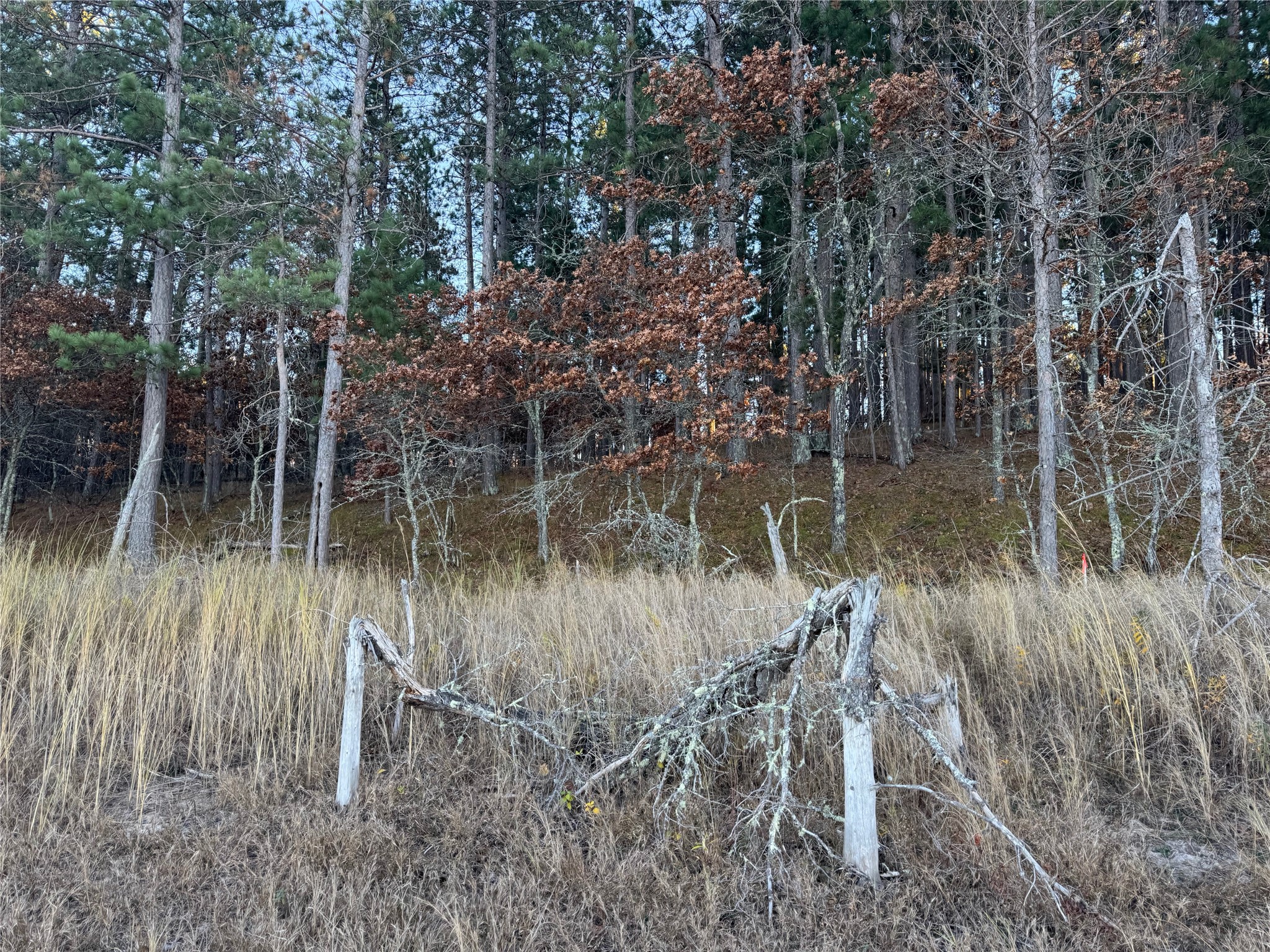 Lot 5 Big Sand Road Property Photo 14