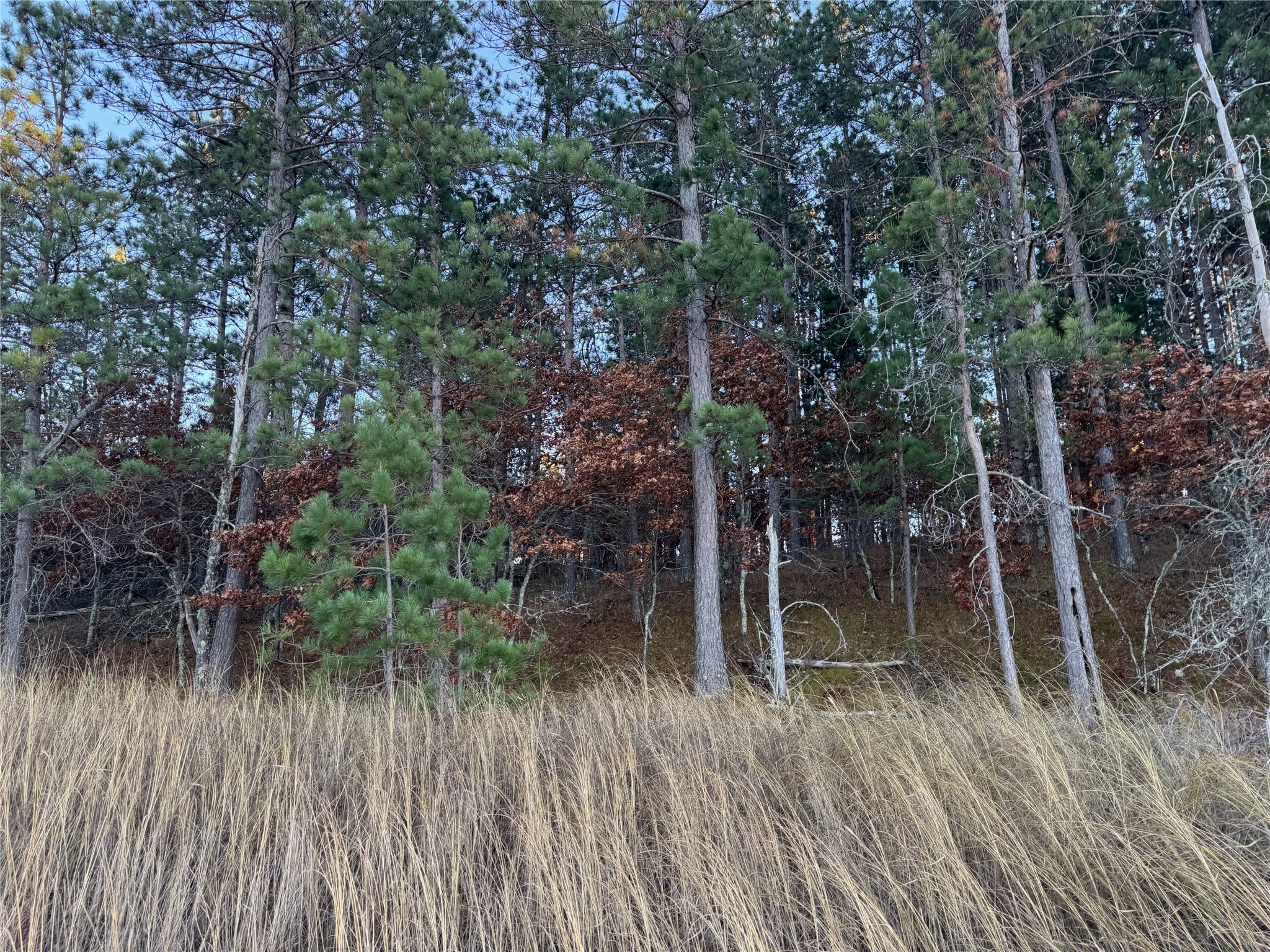 Lot 5 Big Sand Road Property Photo 15