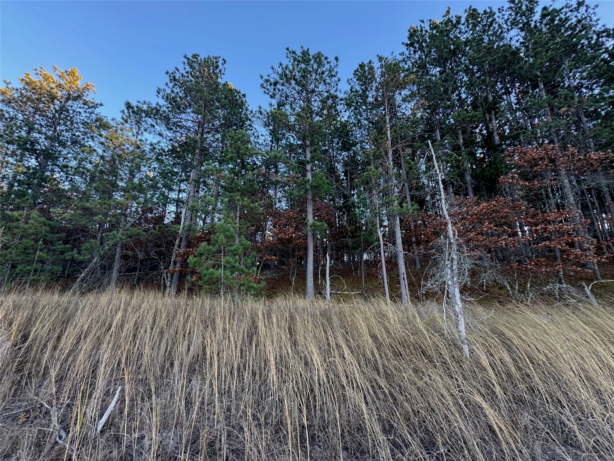 Lot 5 Big Sand Road Property Photo 16