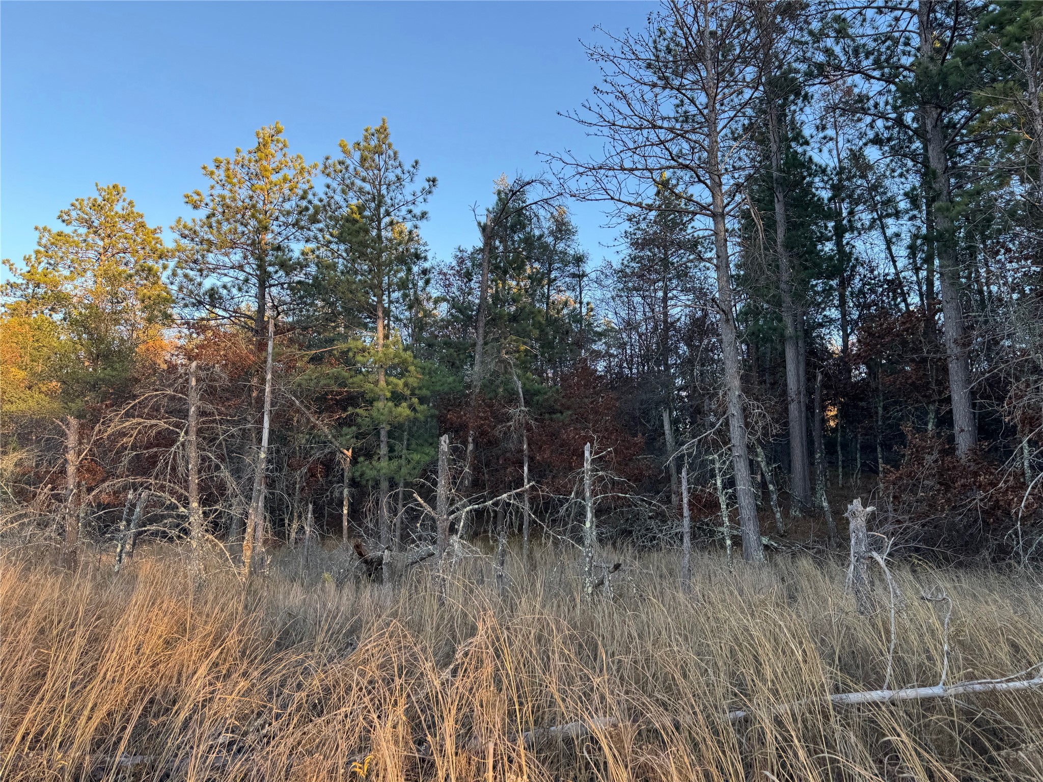 Lot 5 Big Sand Road Property Photo 17