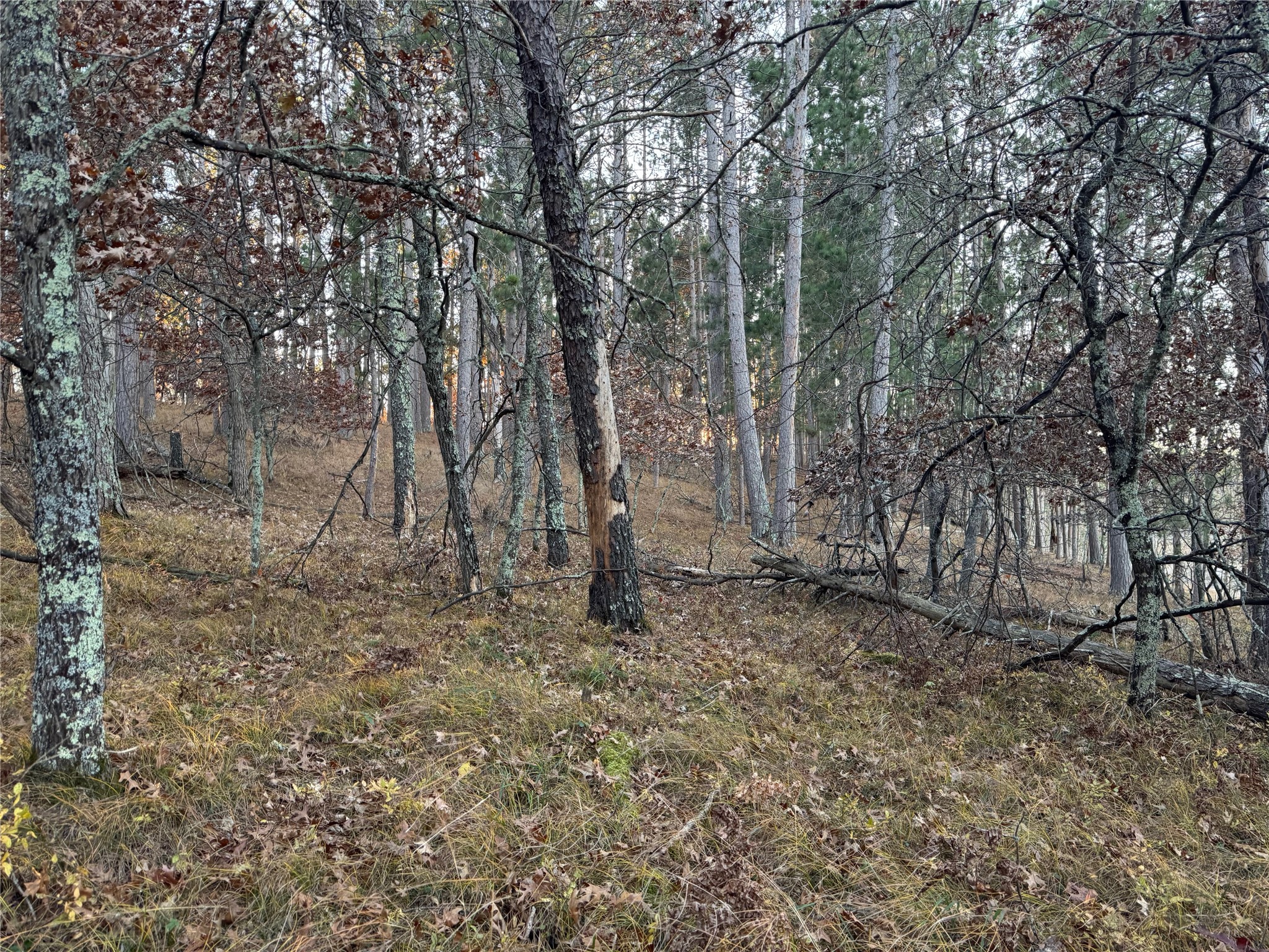 Lot 5 Big Sand Road Property Photo 18