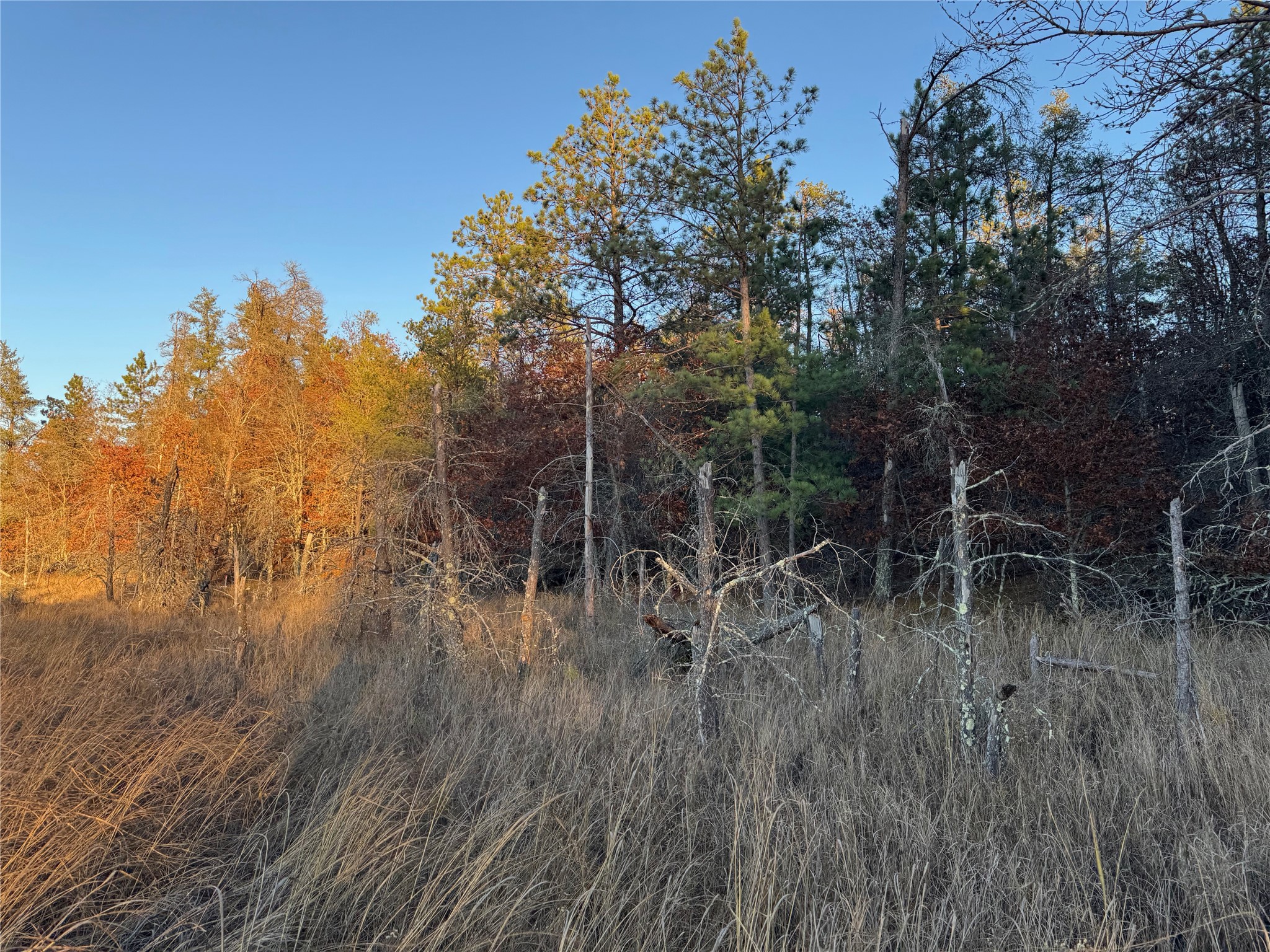 Lot 5 Big Sand Road Property Photo 20