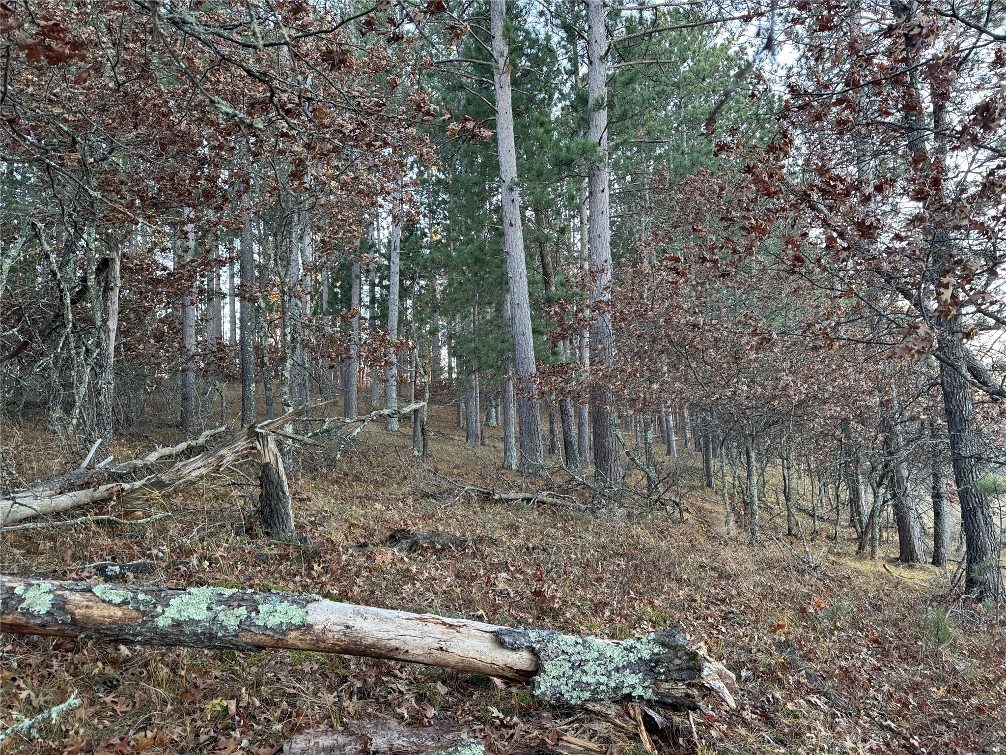 Lot 5 Big Sand Road Property Photo 21