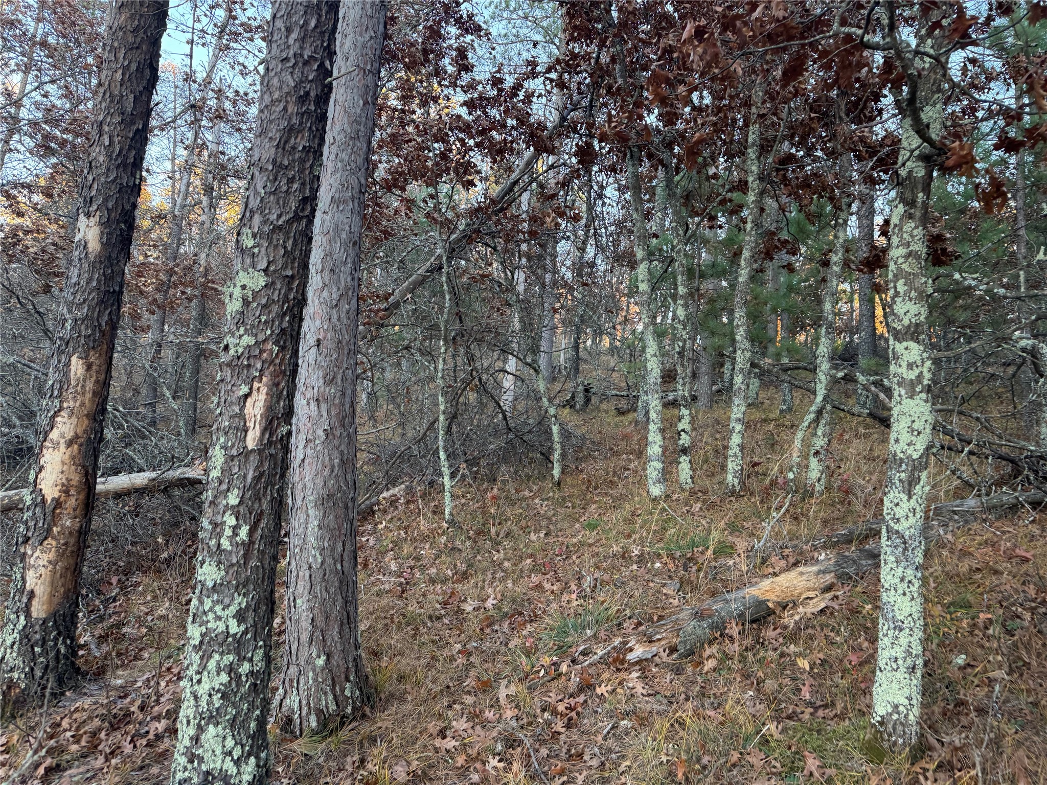 Lot 5 Big Sand Road Property Photo 22