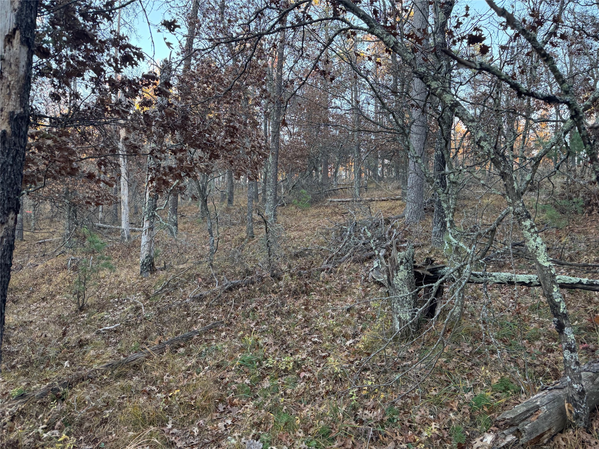 Lot 5 Big Sand Road Property Photo 23