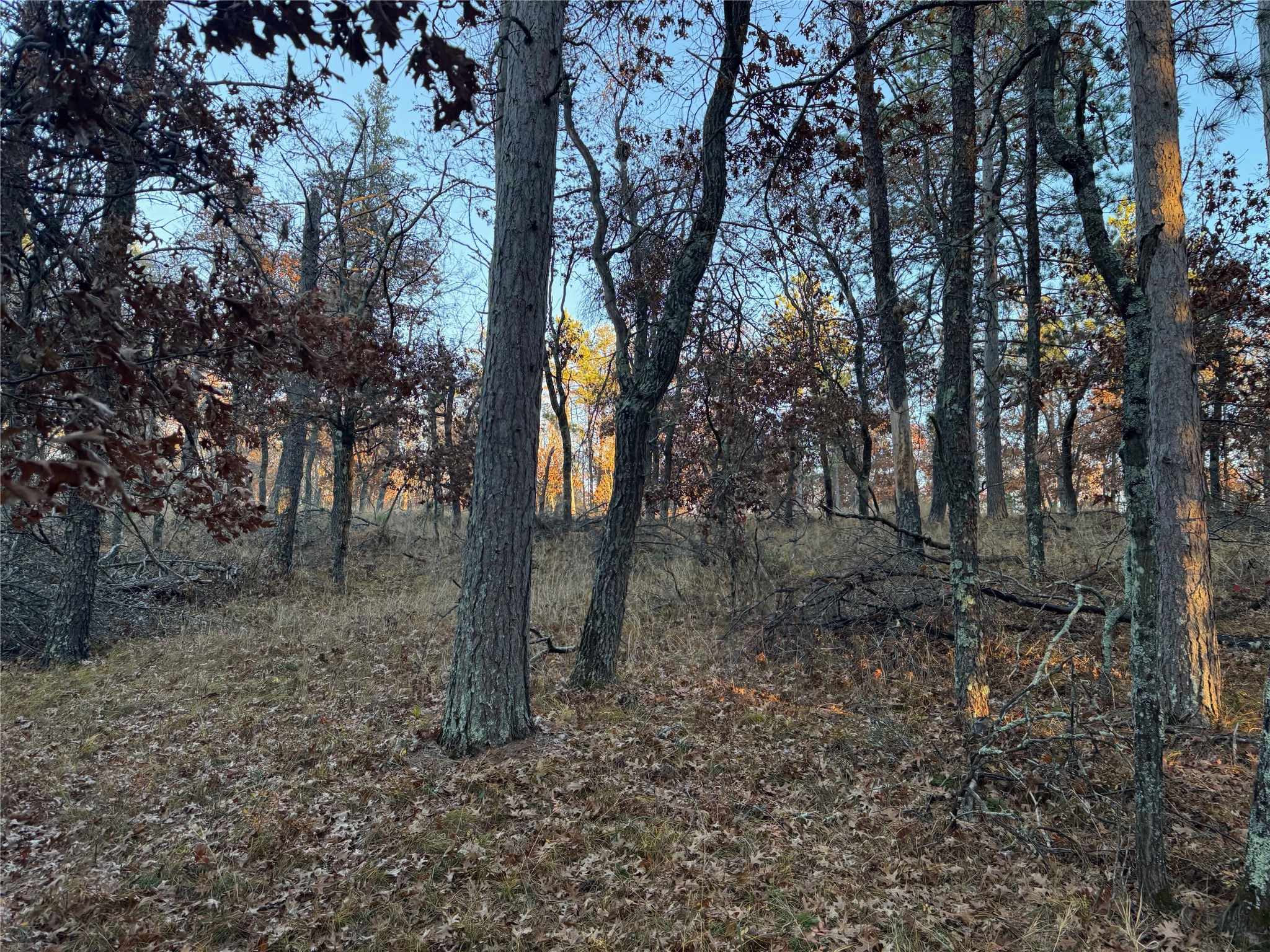 Lot 5 Big Sand Road Property Photo 26