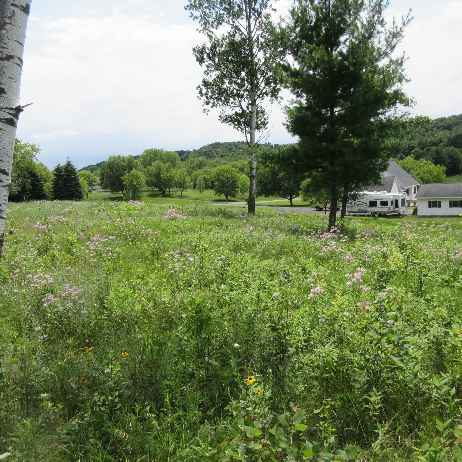 Lot 12 516th Street Property Photo 2