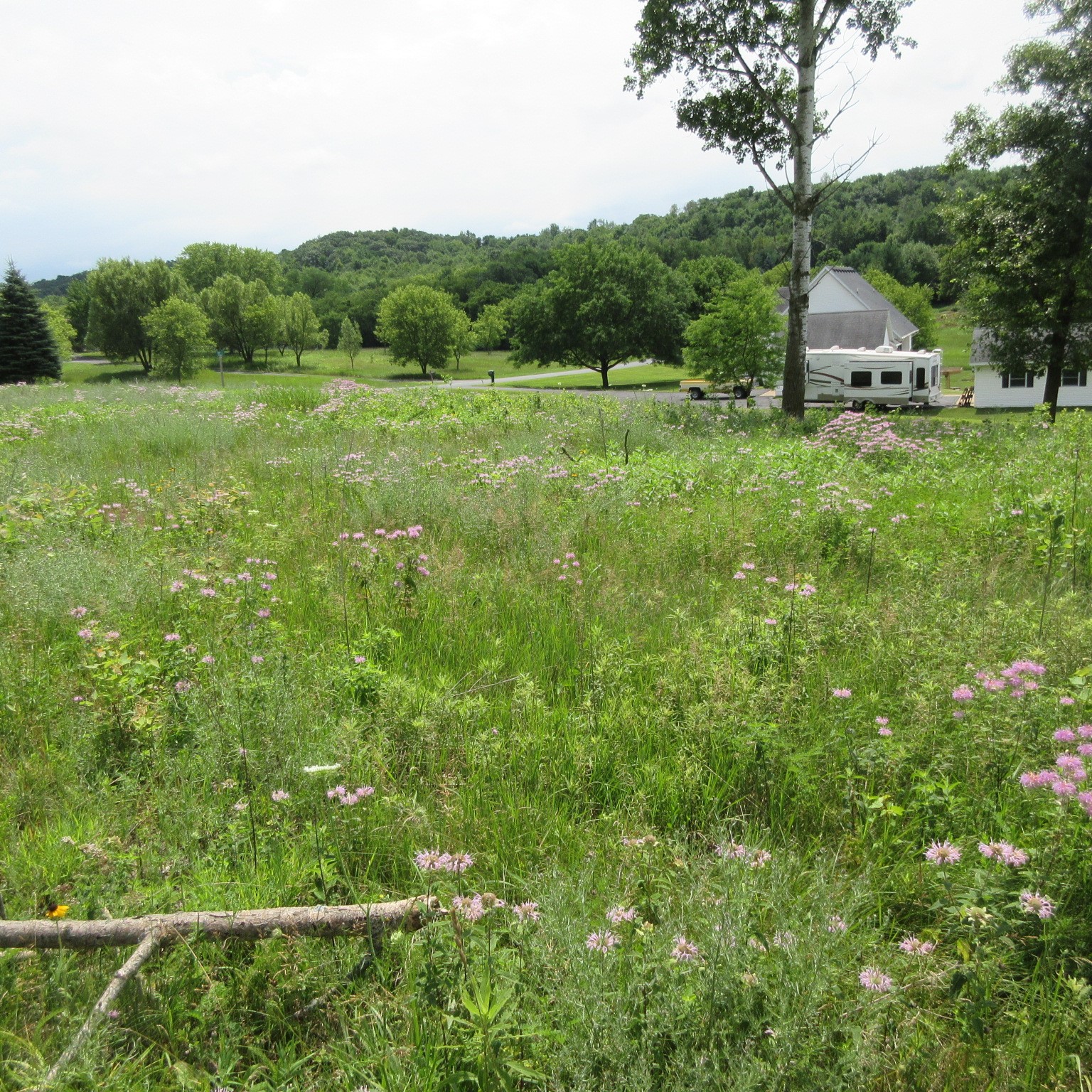 Lot 12 516th Street Property Photo 3