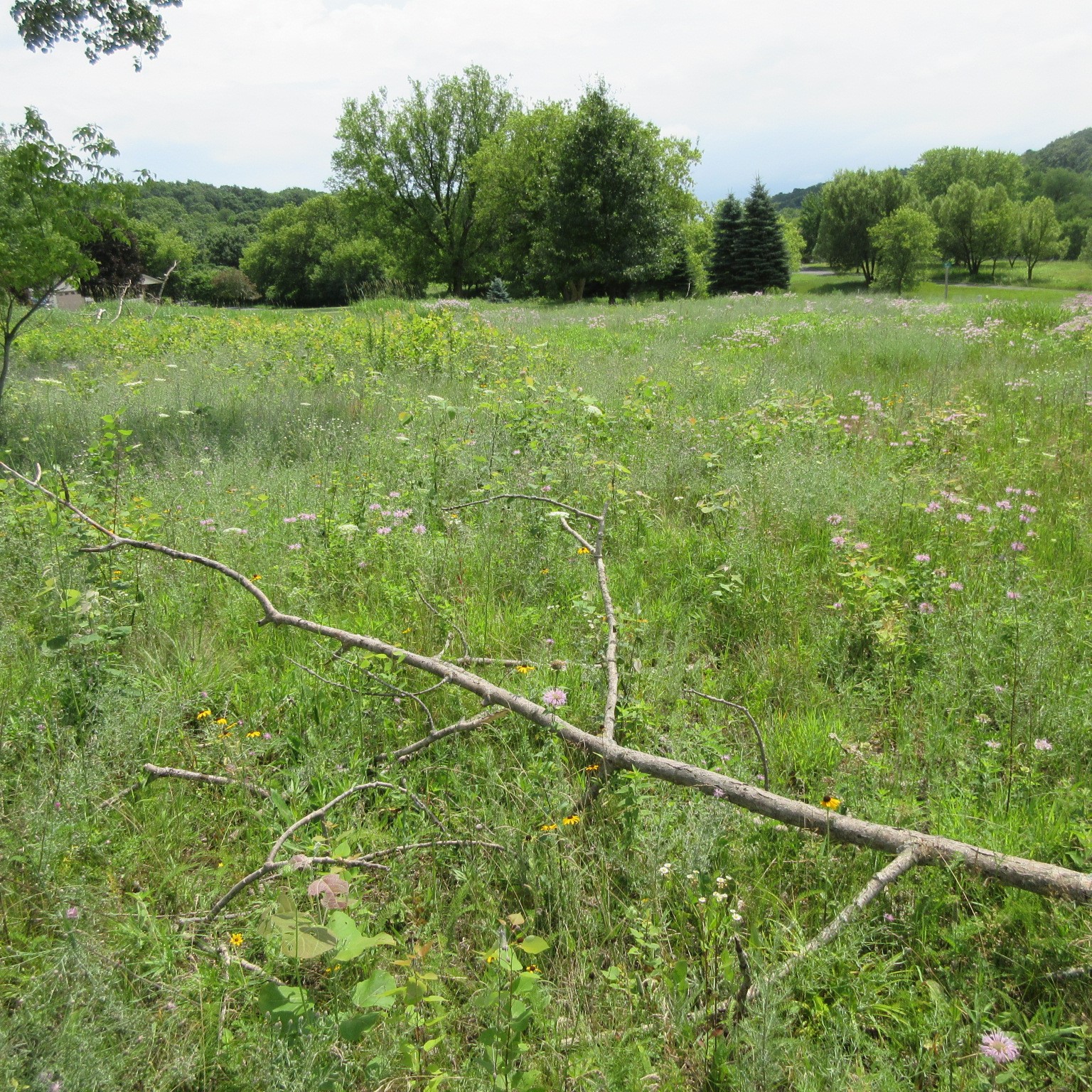 Lot 12 516th Street Property Photo 4