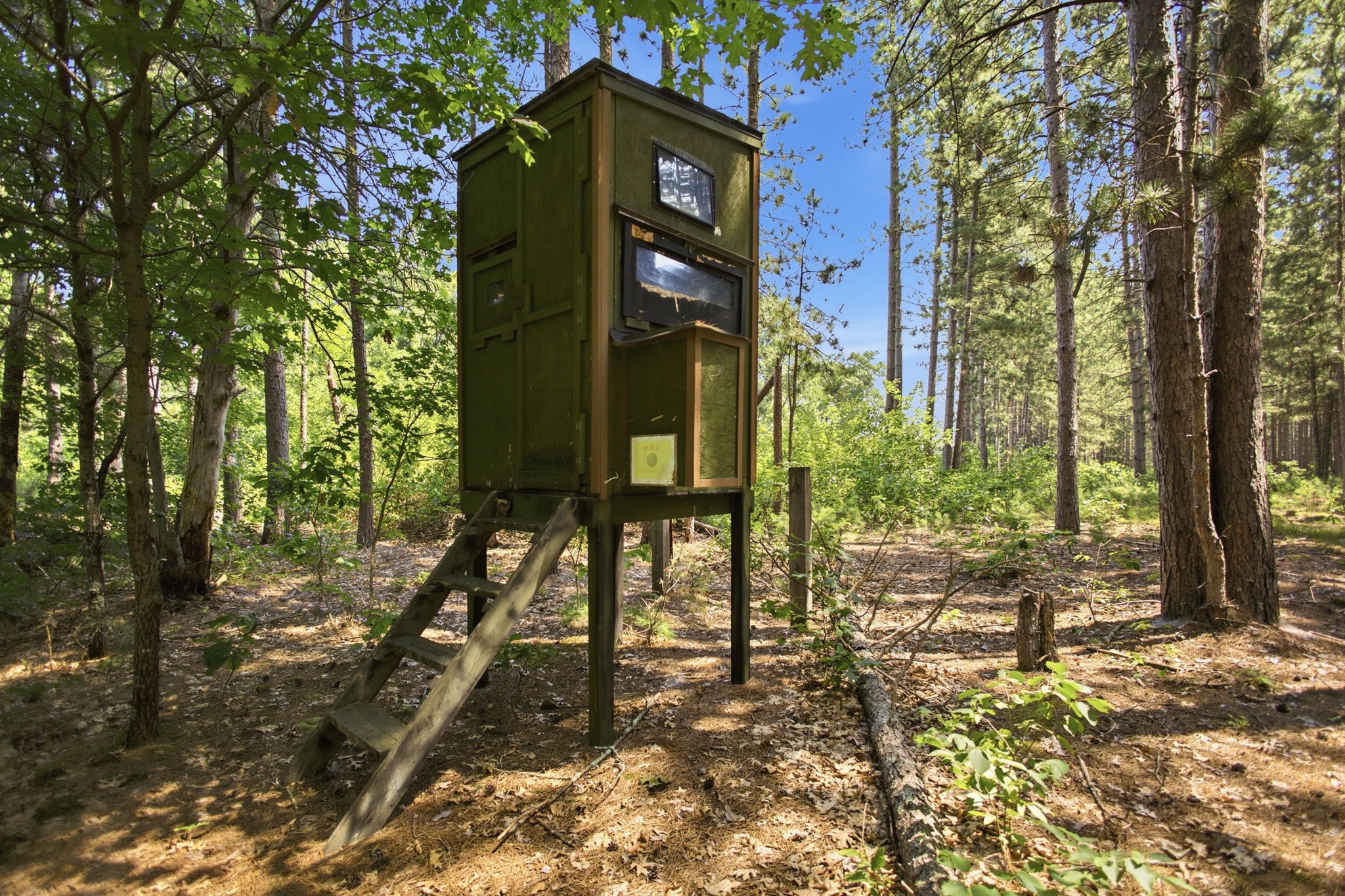 26670 Foxes Landing Road Property Photo 4