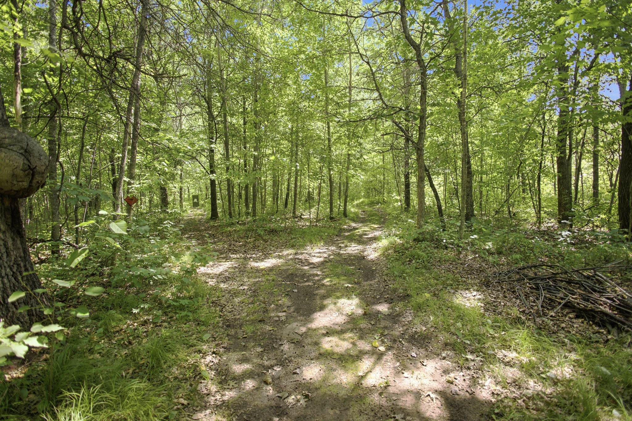 26670 Foxes Landing Road Property Photo 58