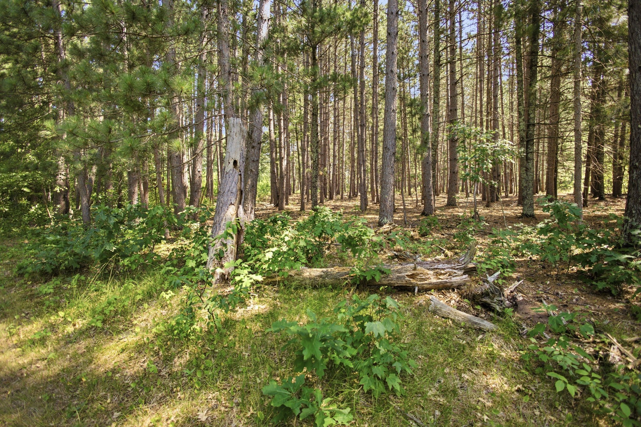 26670 Foxes Landing Road Property Photo 60