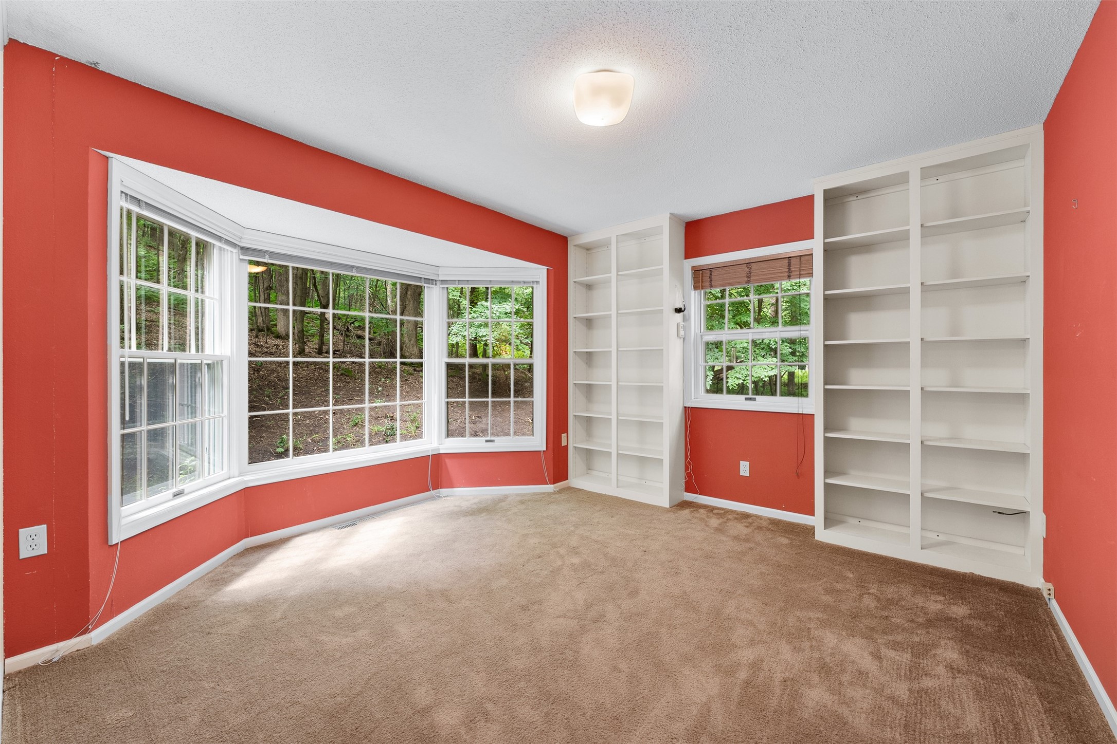 137 Canterbury Road Property Photo 4