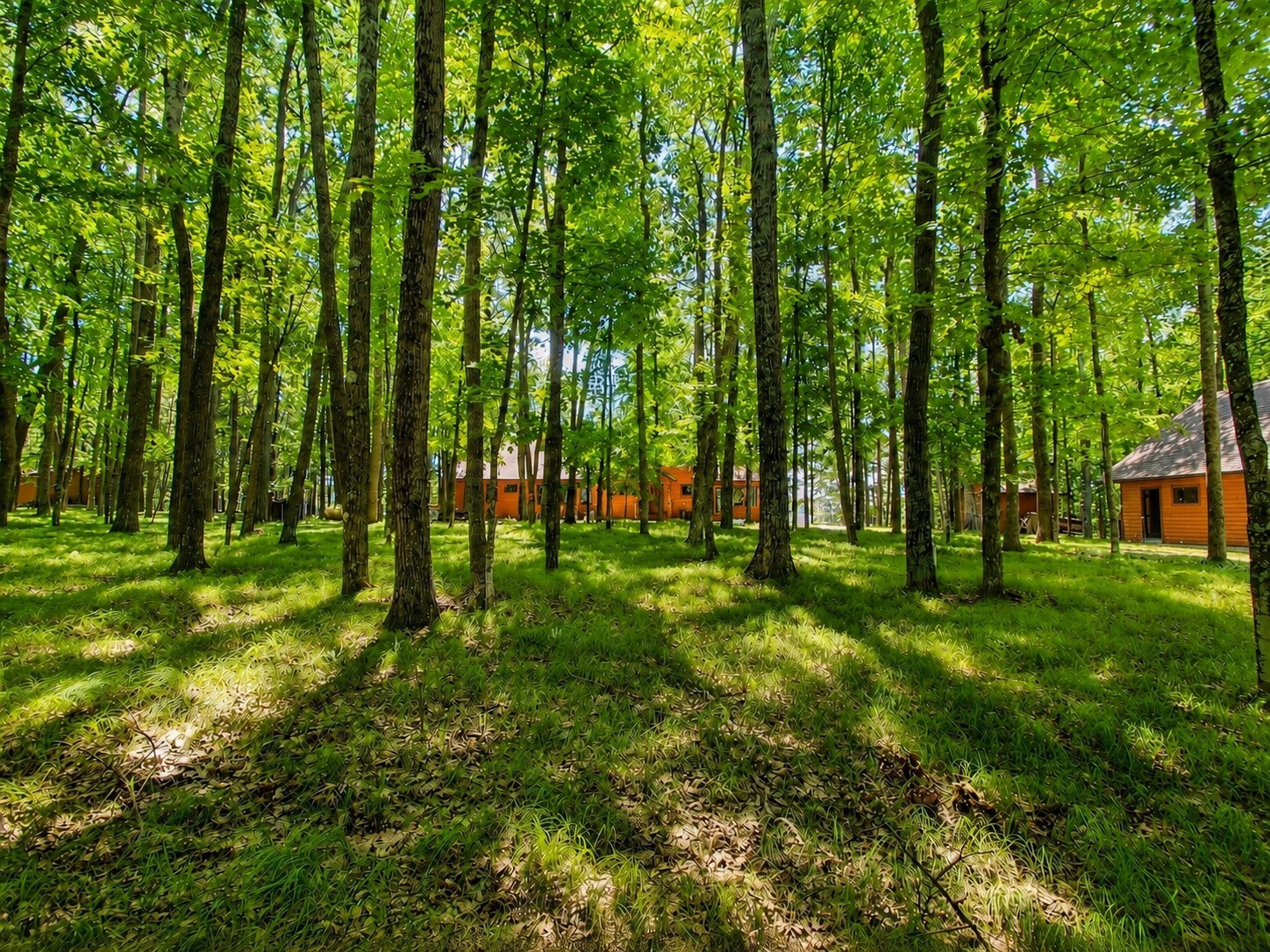 12635 N Neumaier Road Property Photo 54