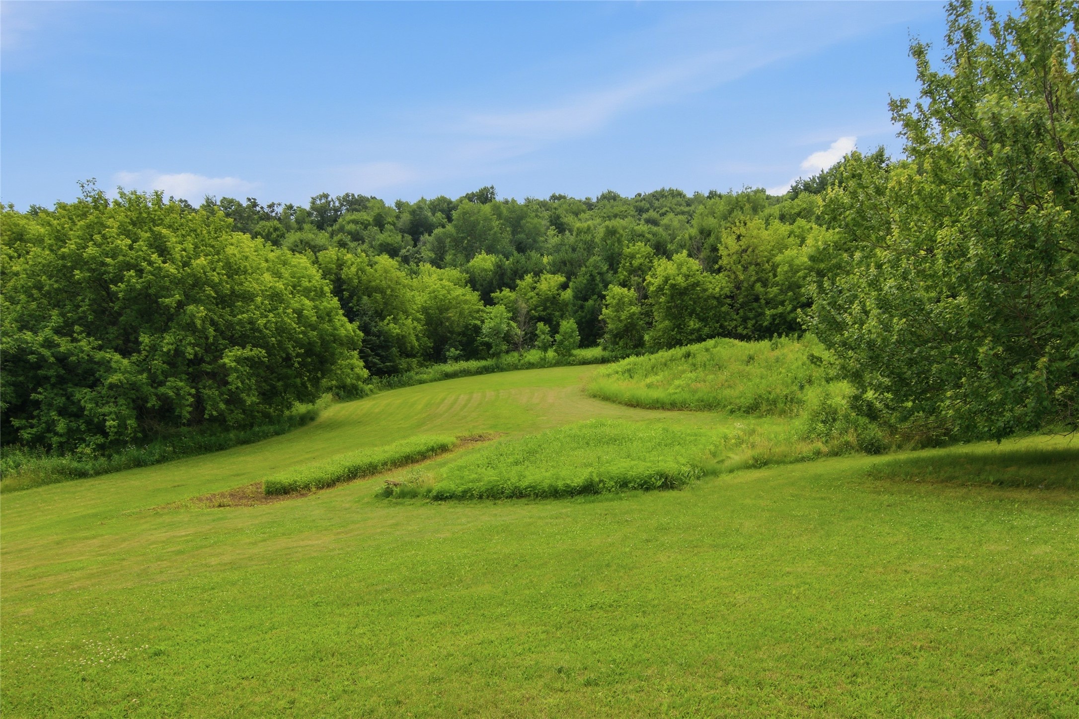 10255 Voight Road Property Photo 38