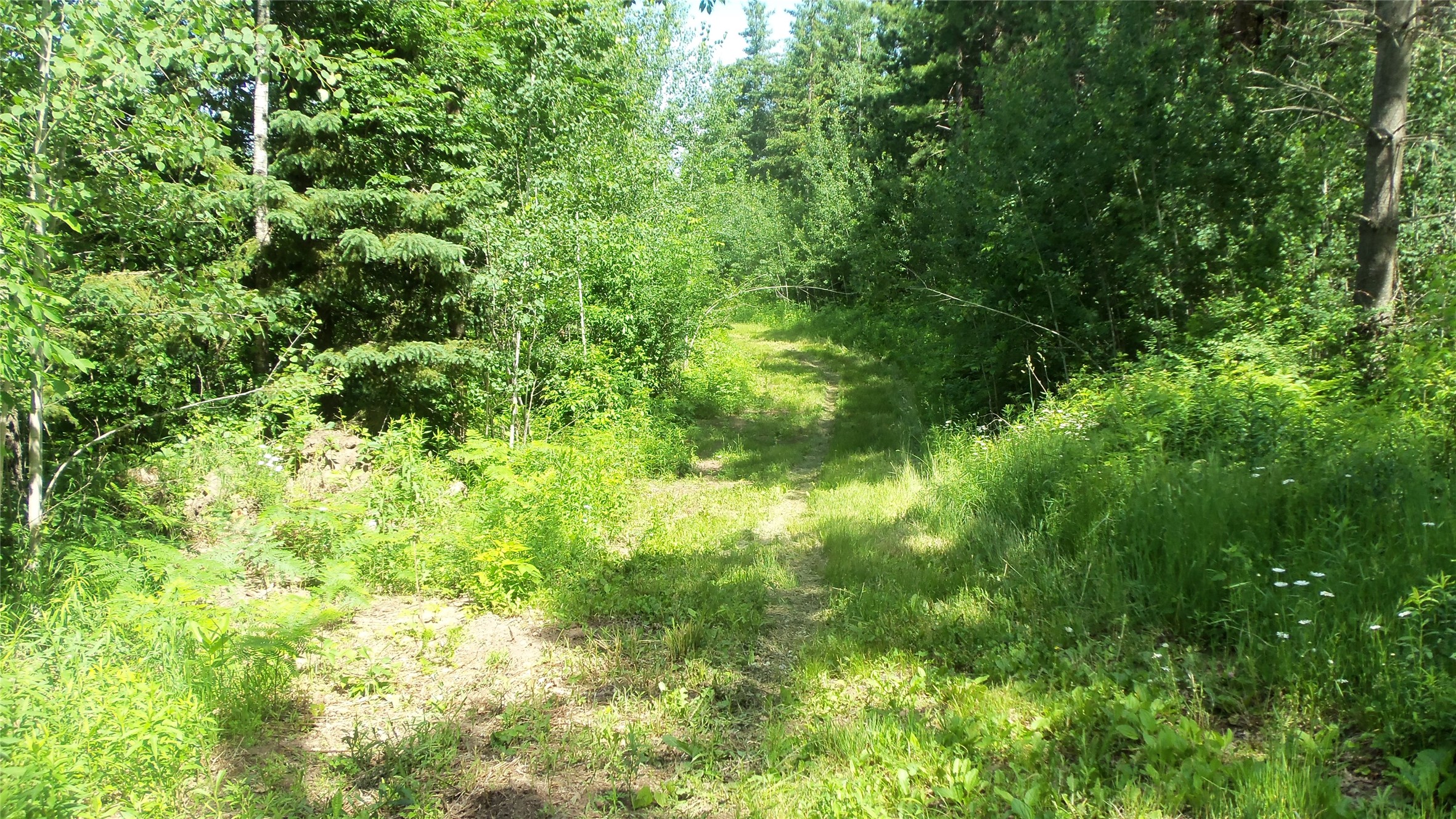 Xxx Bashaw Store Road Property Photo 4