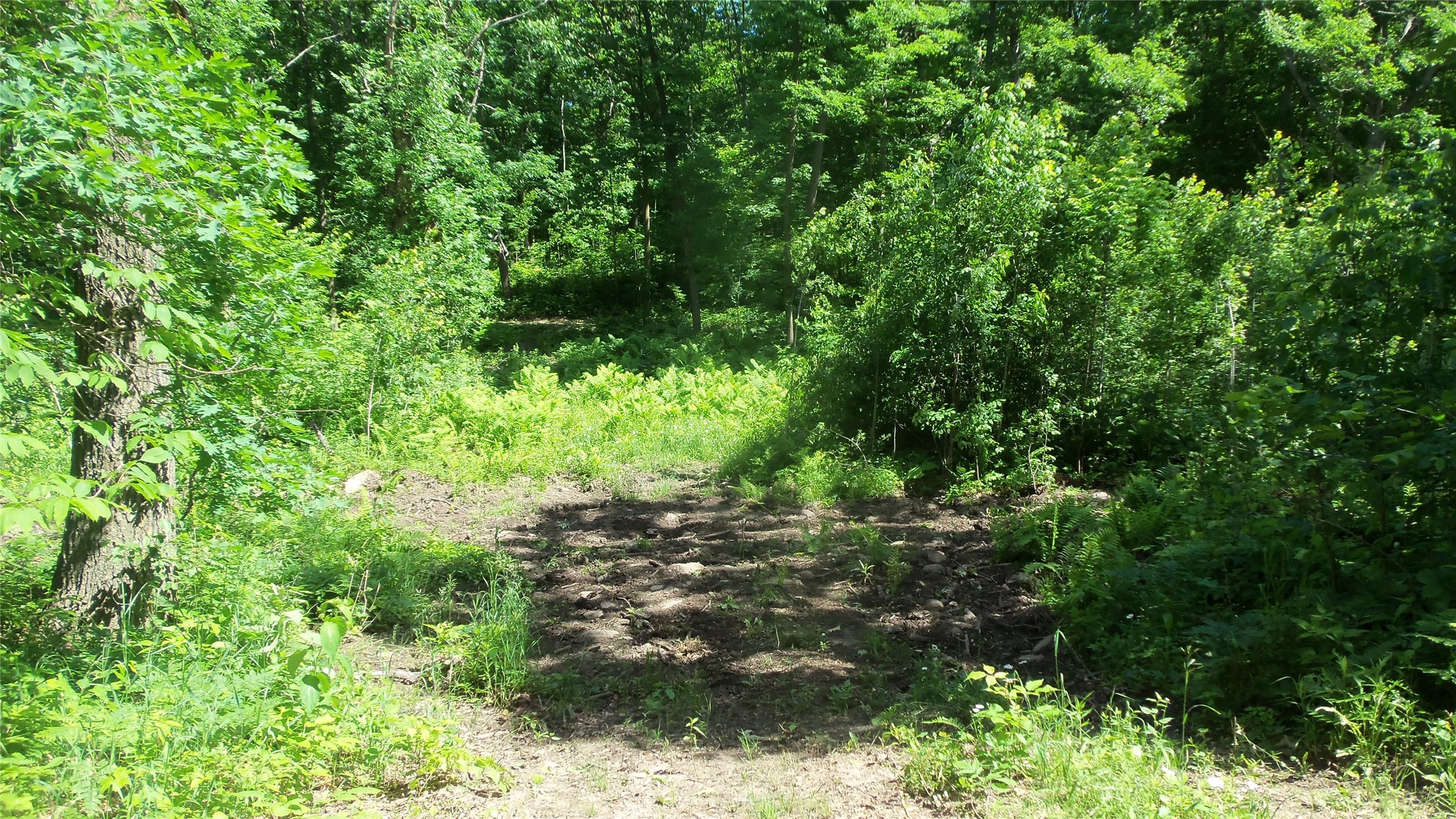 Xxx Bashaw Store Road Property Photo 8