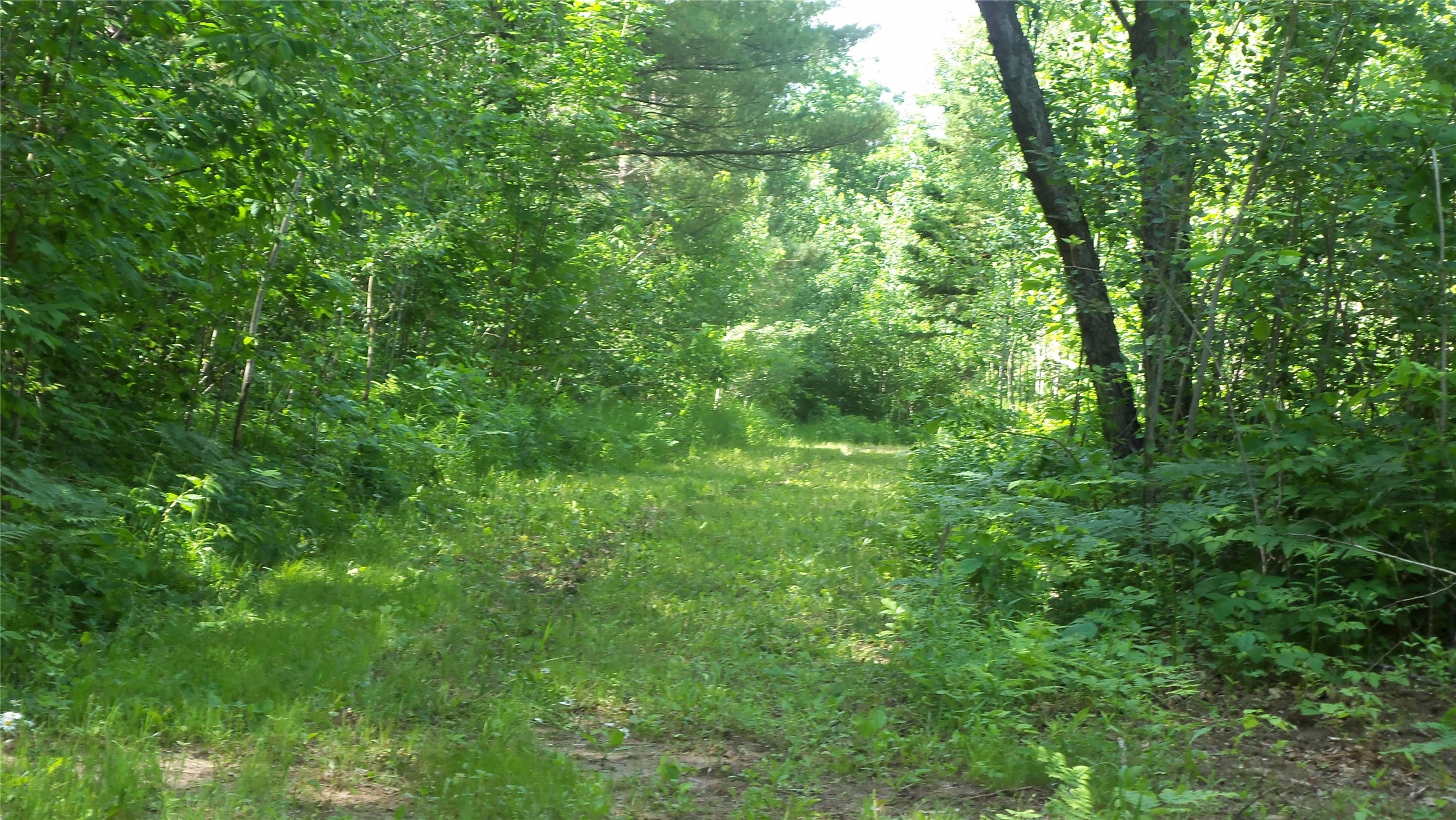 Xxx Bashaw Store Road Property Photo 9