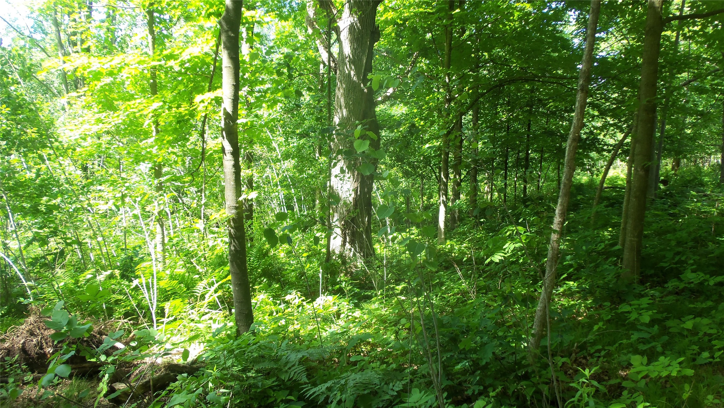 Xxx Bashaw Store Road Property Photo 12