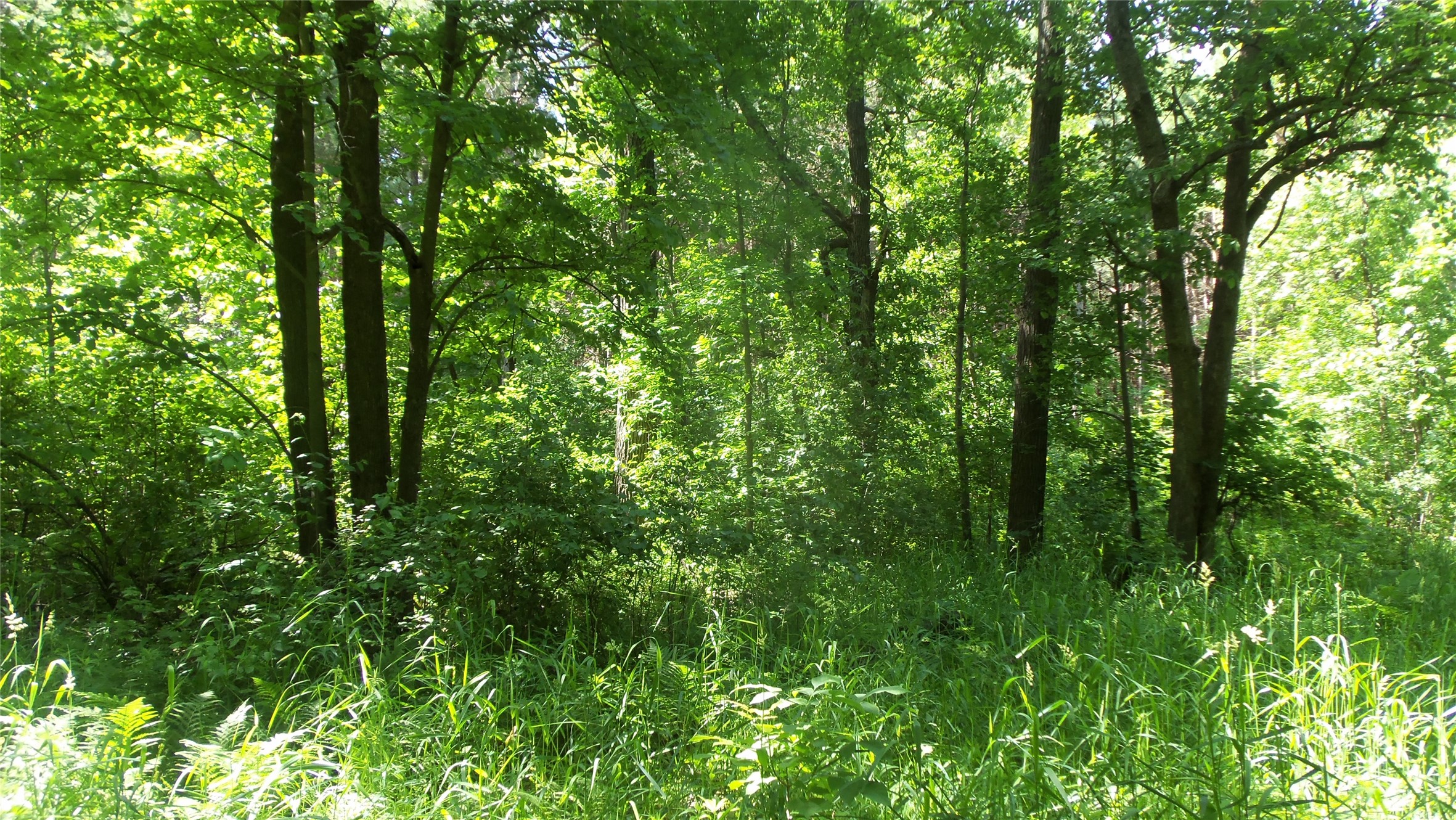 Xxx Bashaw Store Road Property Photo 14
