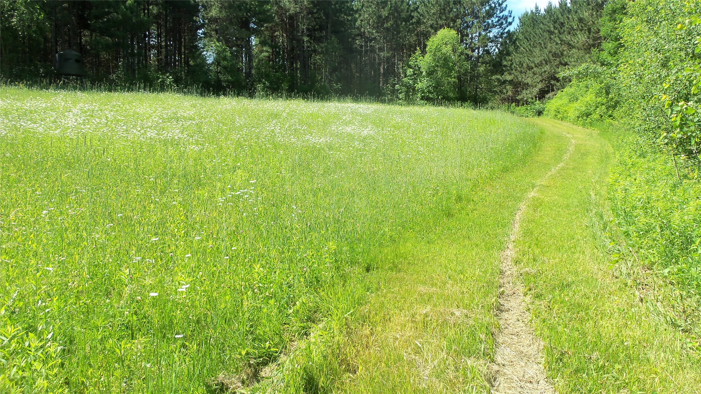 Xxx Bashaw Store Road Property Photo 16