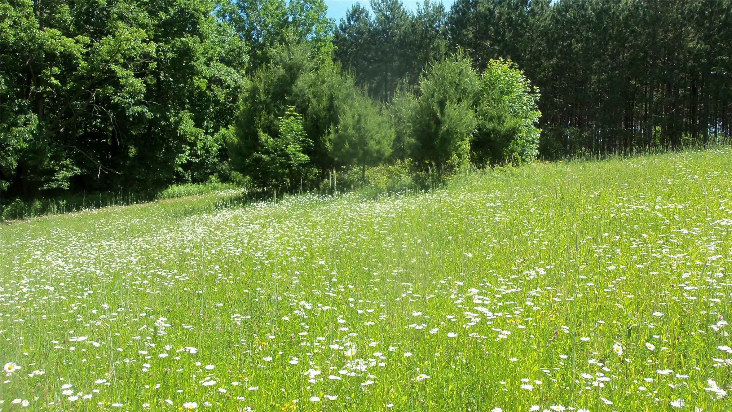 Xxx Bashaw Store Road Property Photo 18