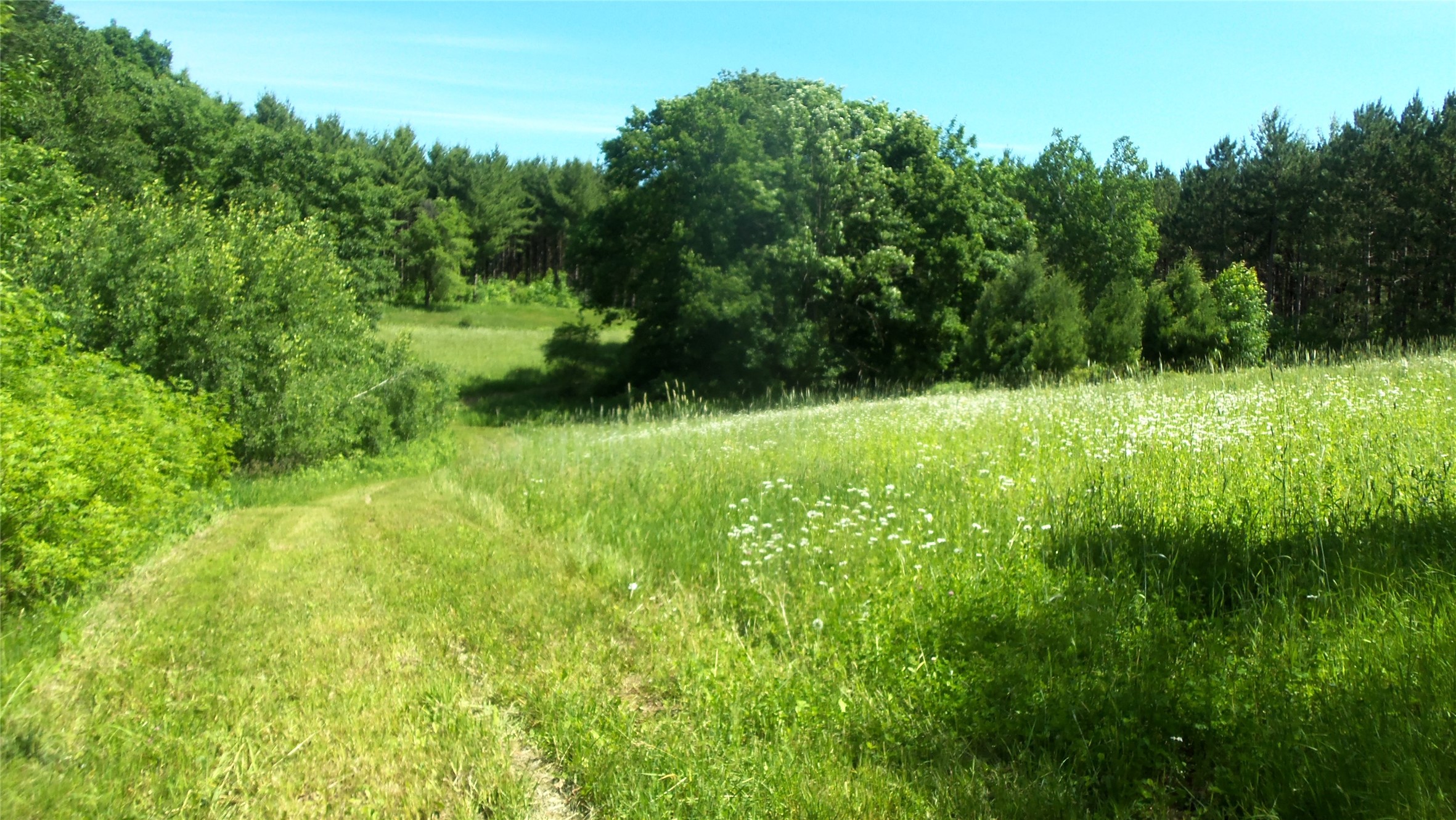 Xxx Bashaw Store Road Property Photo 20