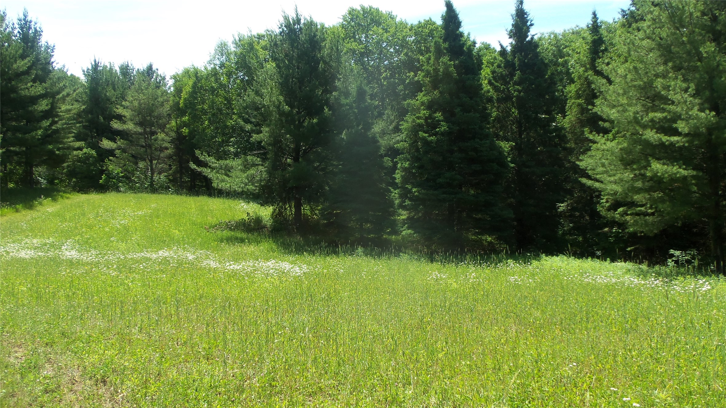 Xxx Bashaw Store Road Property Photo 21