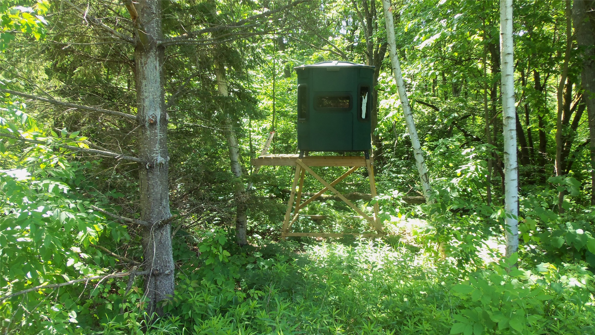 Xxx Bashaw Store Road Property Photo 22