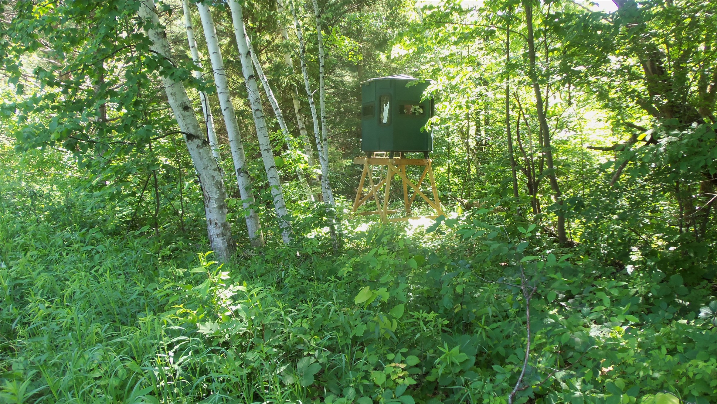 Xxx Bashaw Store Road Property Photo 23
