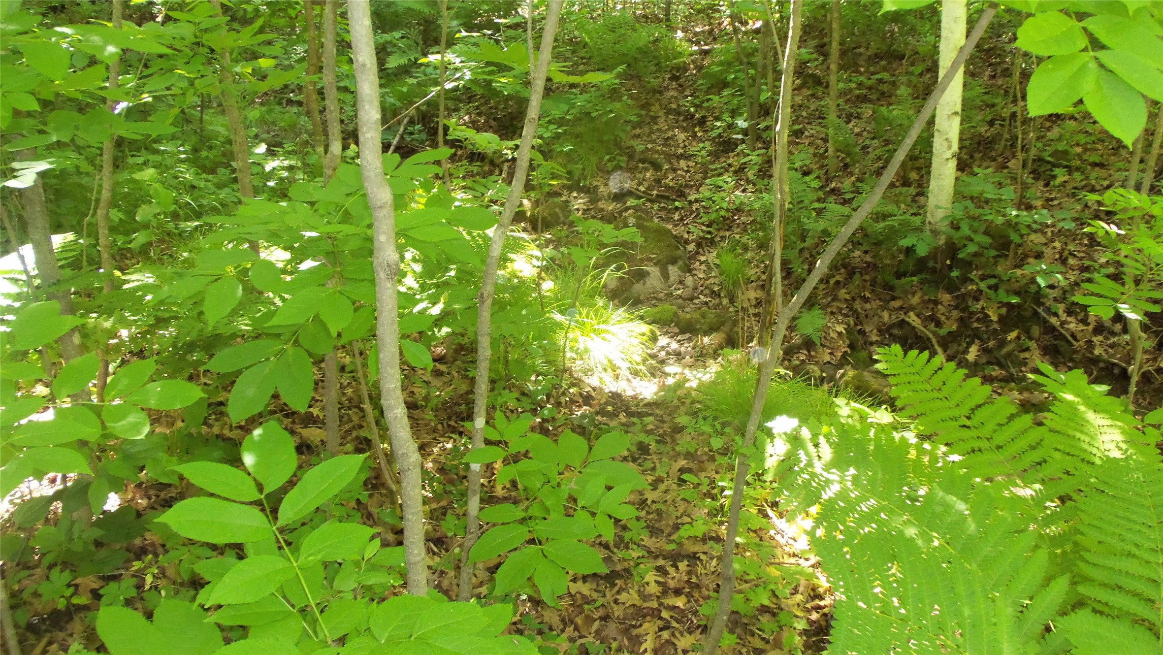 Xxx Bashaw Store Road Property Photo 24