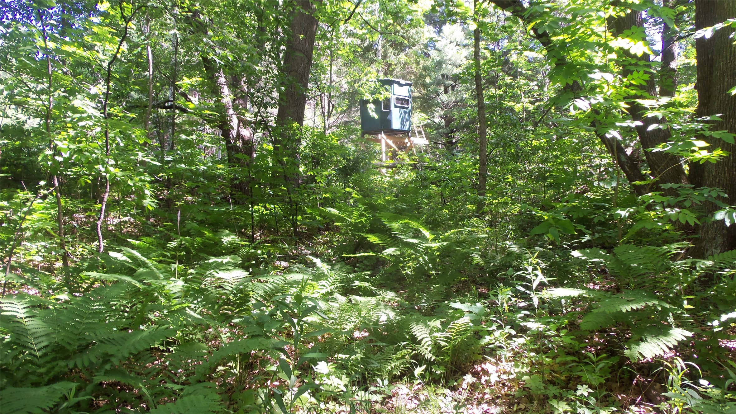 Xxx Bashaw Store Road Property Photo 25