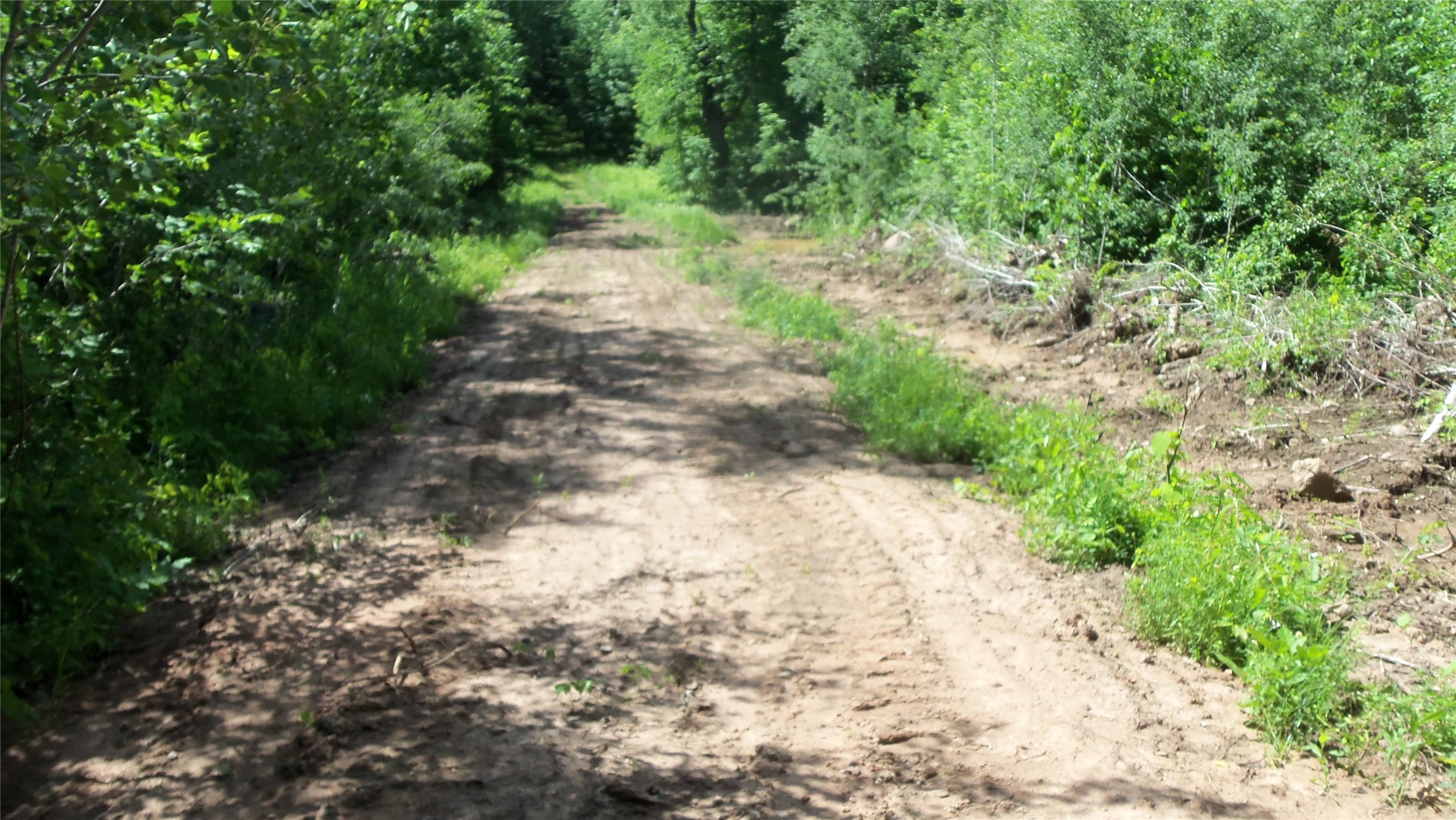 Xxx Bashaw Store Road Property Photo 26