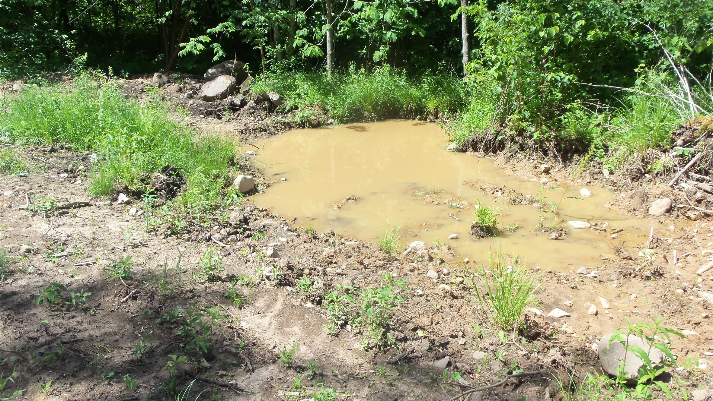 Xxx Bashaw Store Road Property Photo 27