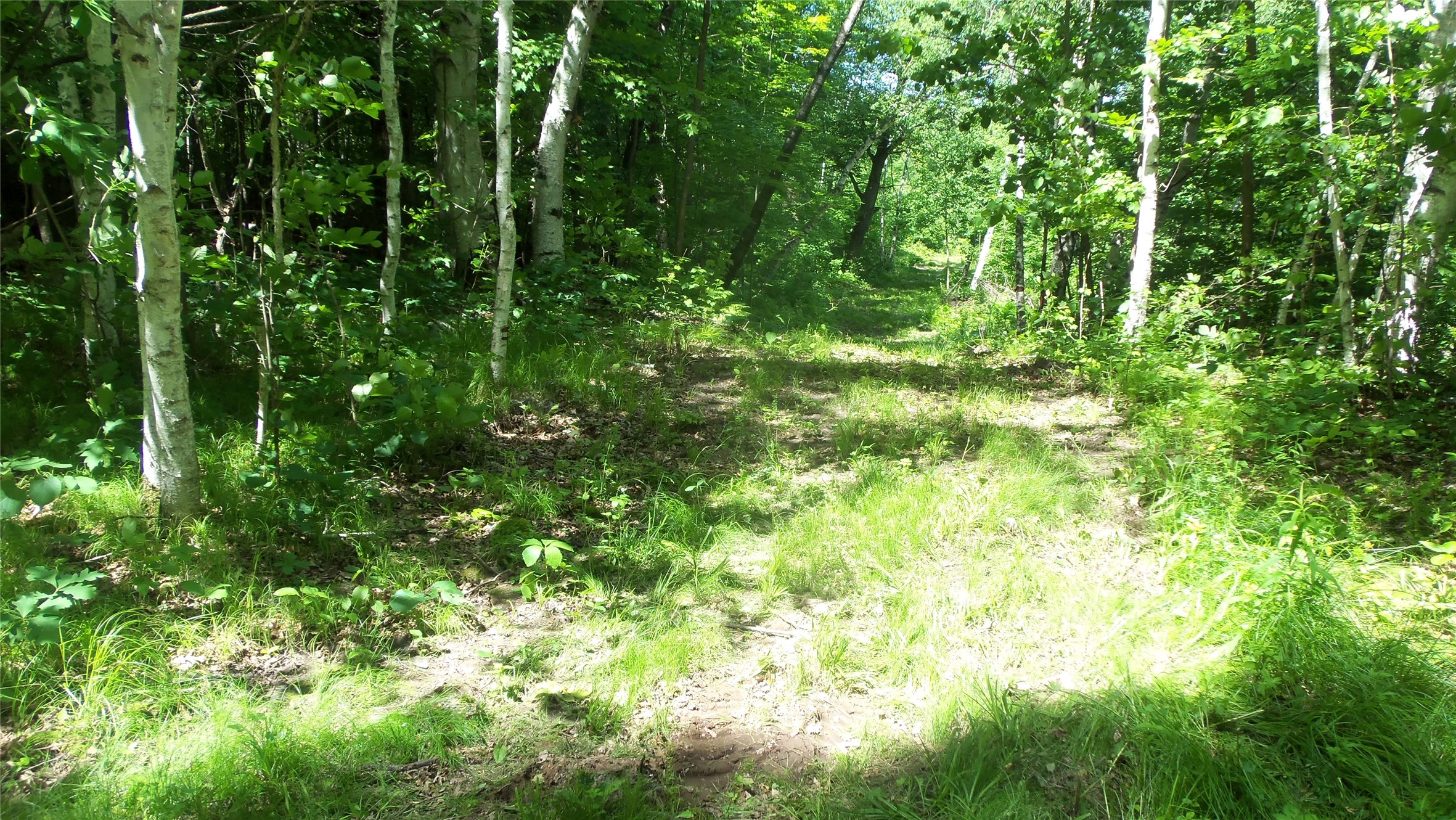 Xxx Bashaw Store Road Property Photo 28