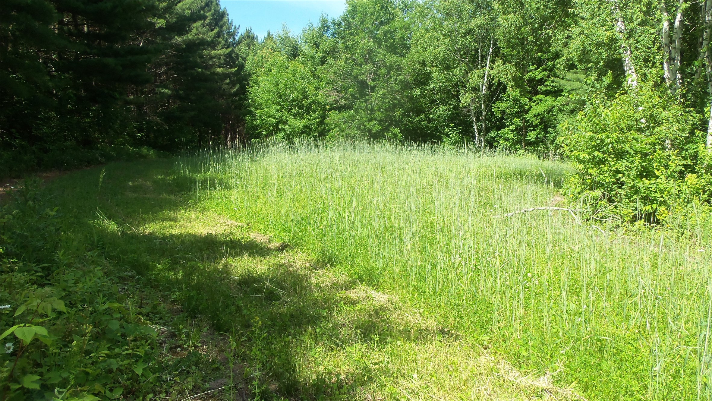 Xxx Bashaw Store Road Property Photo 30