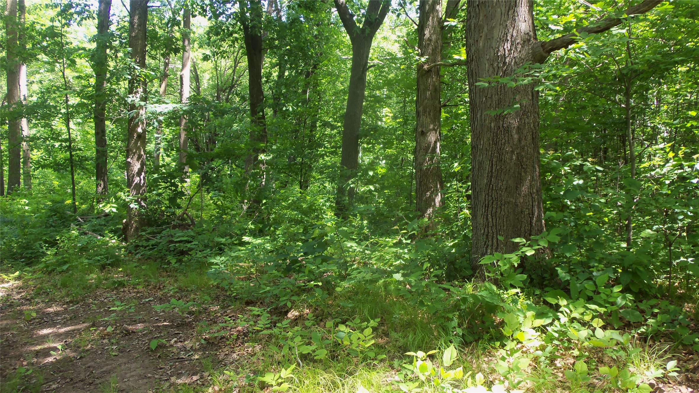 Xxx Bashaw Store Road Property Photo 32
