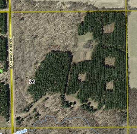 Xxx Bashaw Store Road Property Photo 34